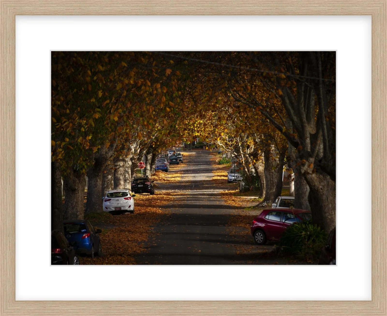 Autumn in Frank St - 12" x 16" Springfield.jpg