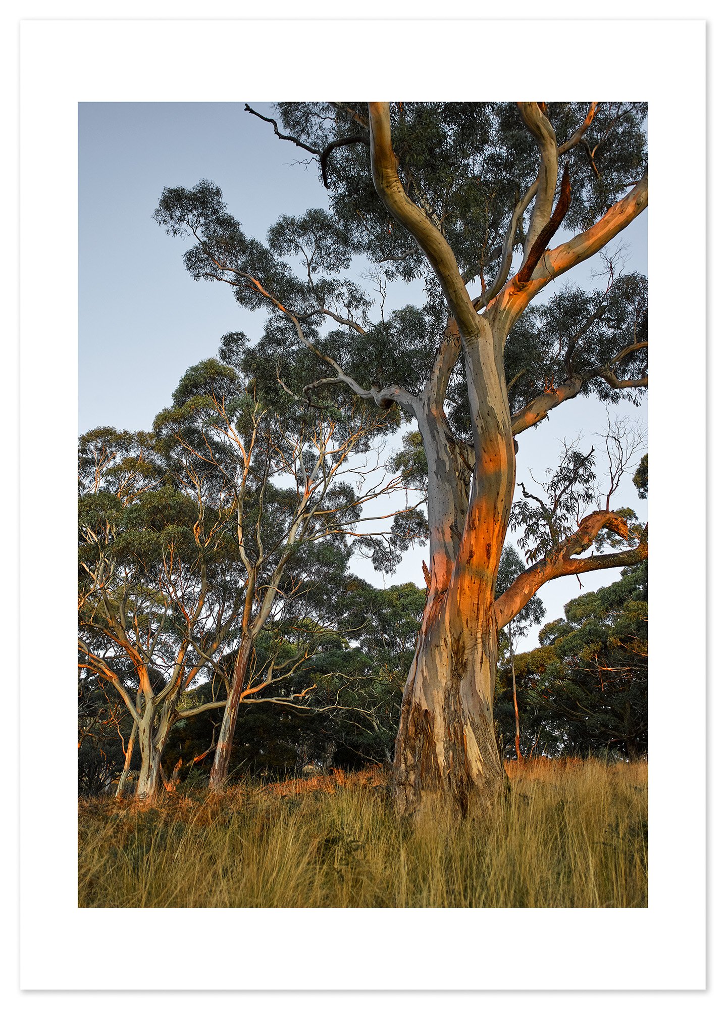 Mt Buninyong at dusk 03 (A2) for web.jpg