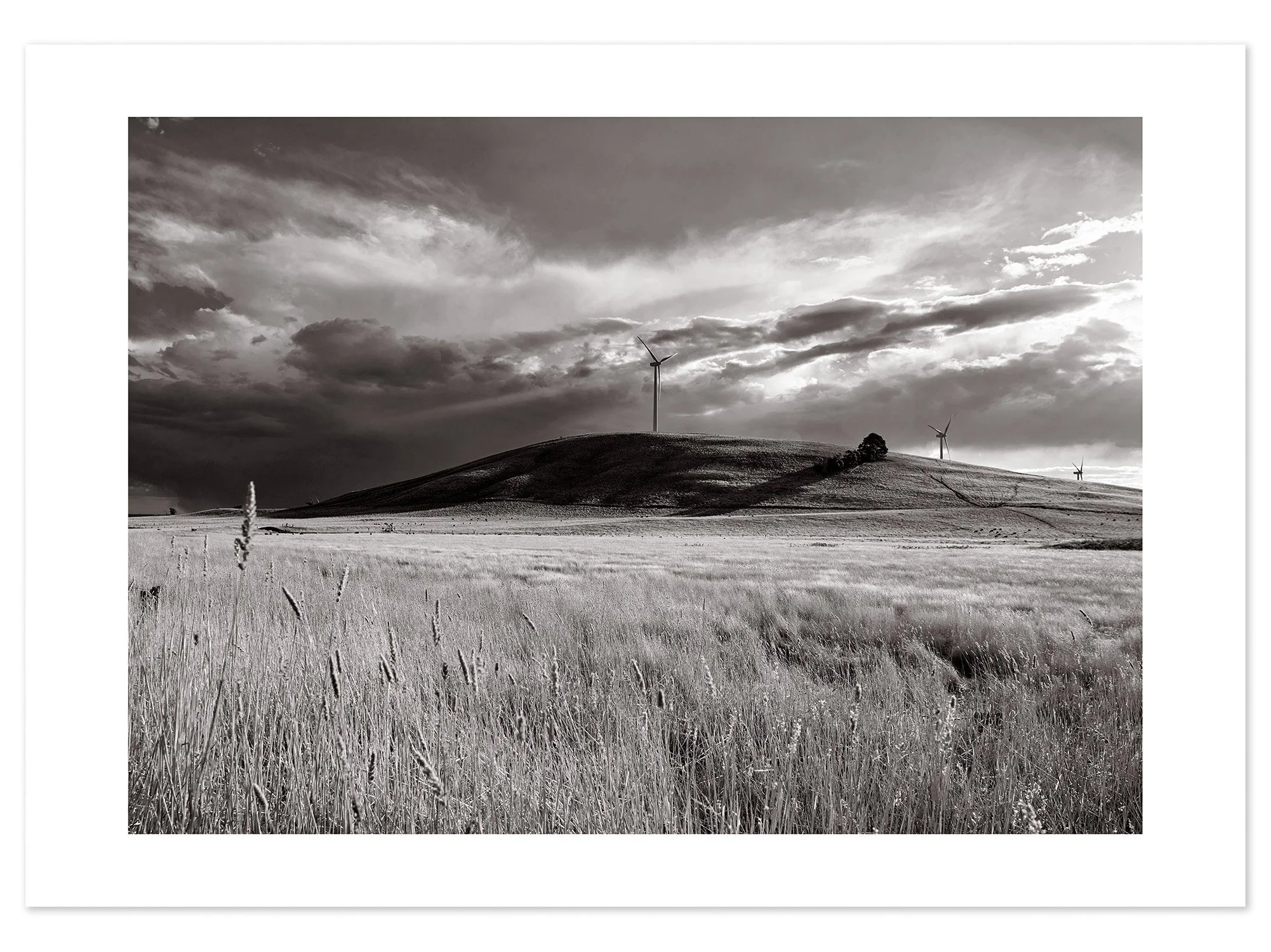 Waubra Wind Farm 01 (A2) for web.jpg