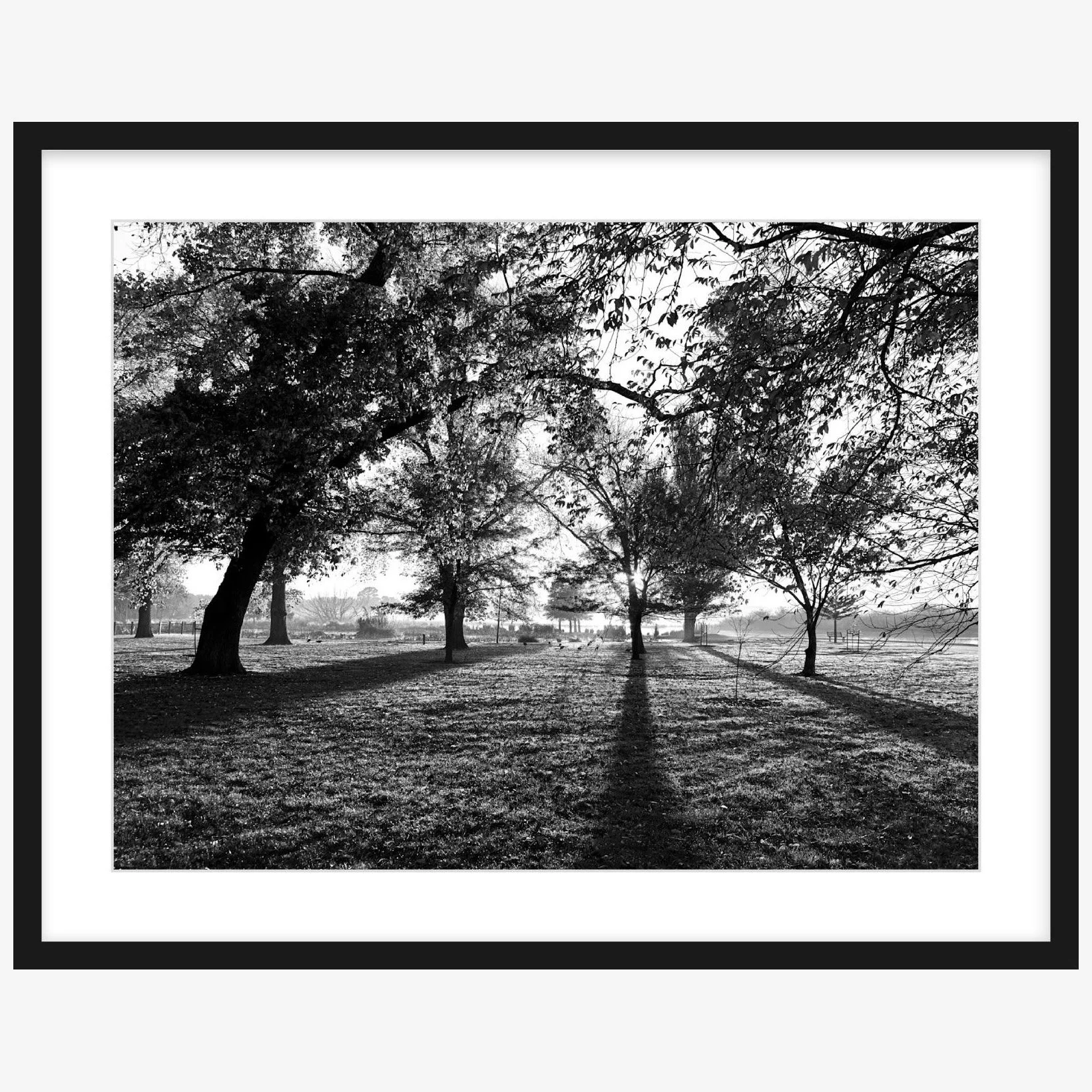 Long Shadows - 18" x 24" black - square.jpg