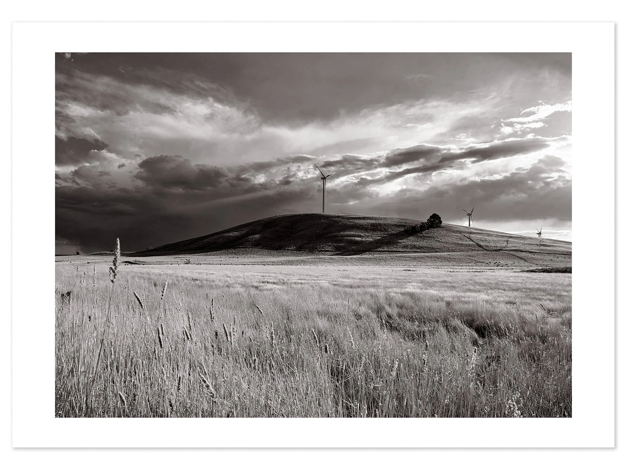 Waubra Wind Farm 01 (A1) for web.jpg