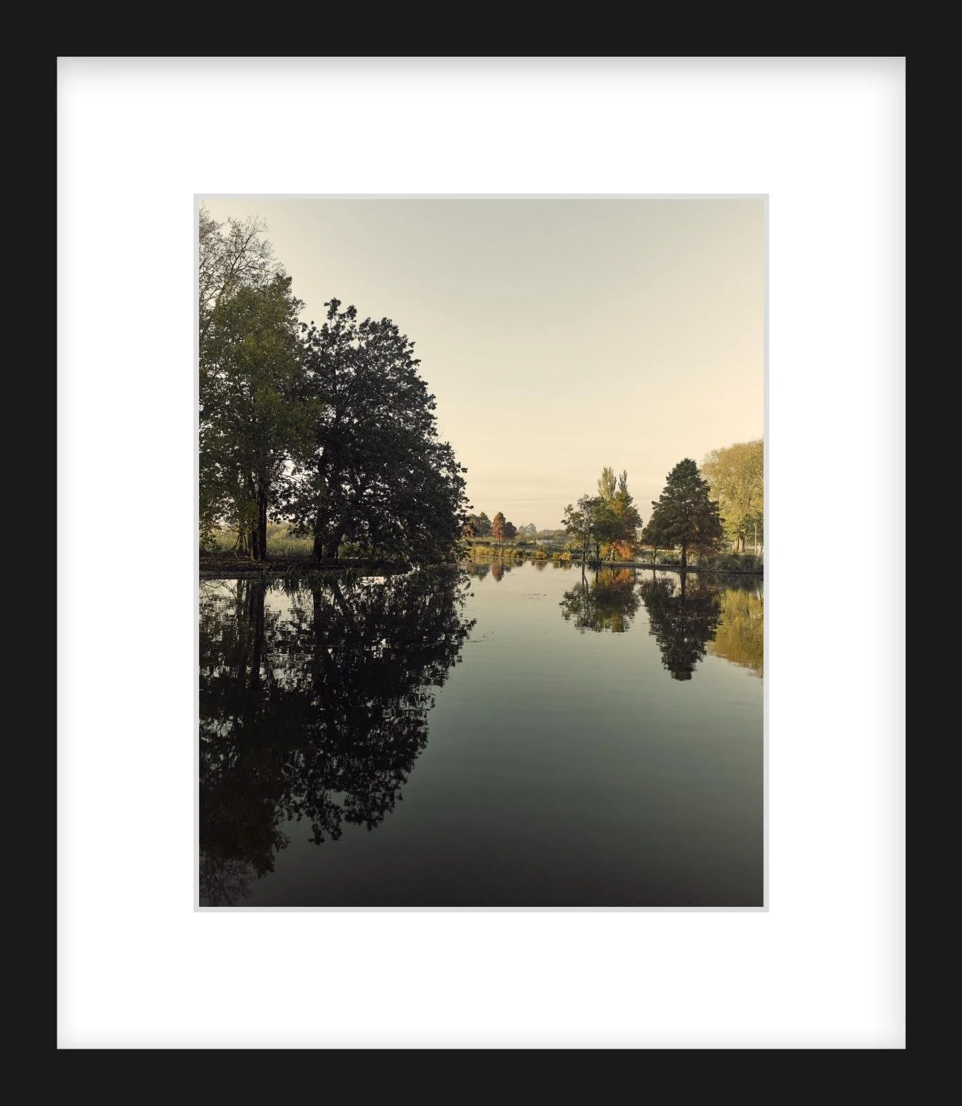 Fairyland - 8" x 10" - black.jpg