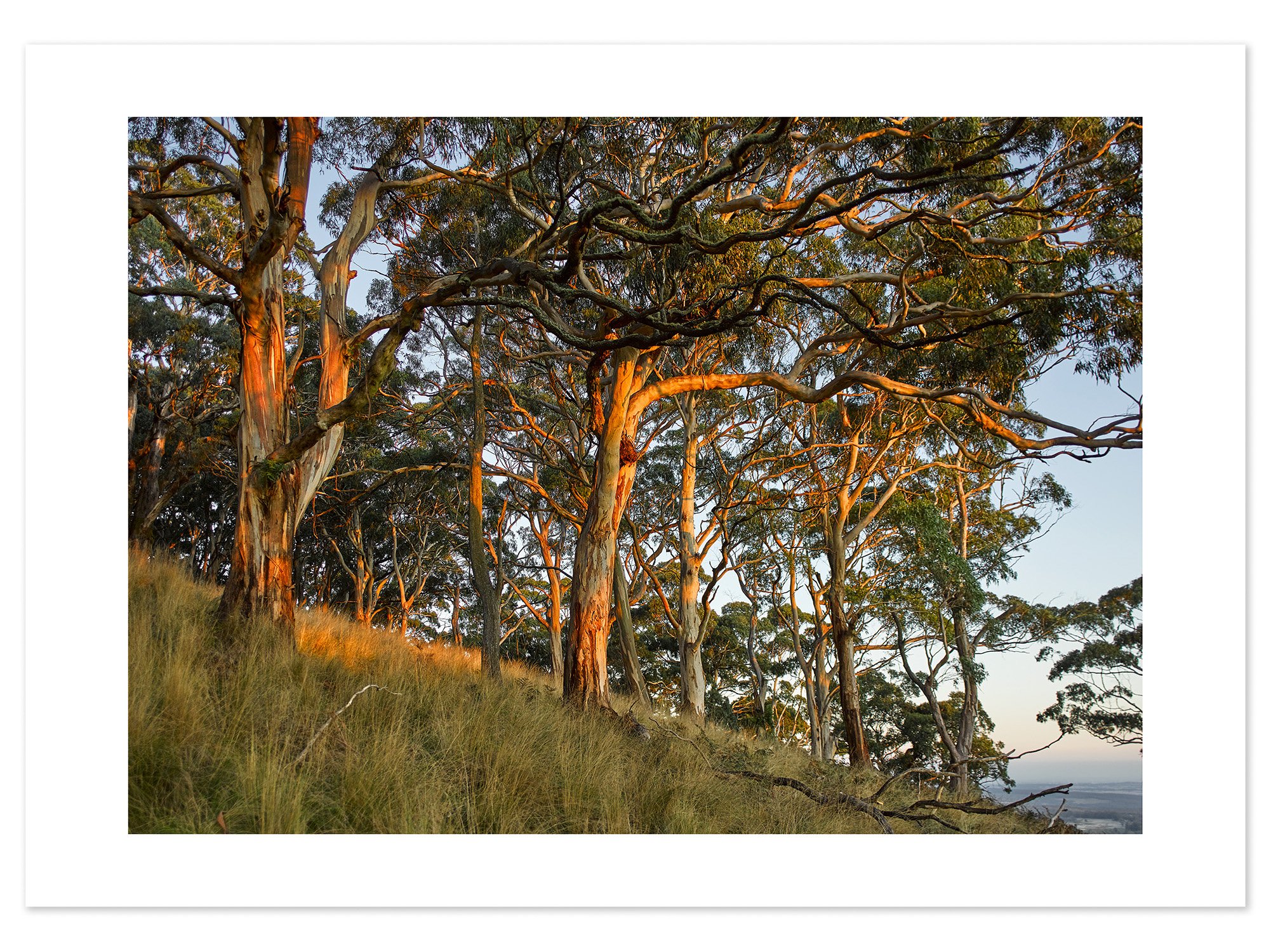 Mt Buninyong at dusk 02 (A2) for web.jpg