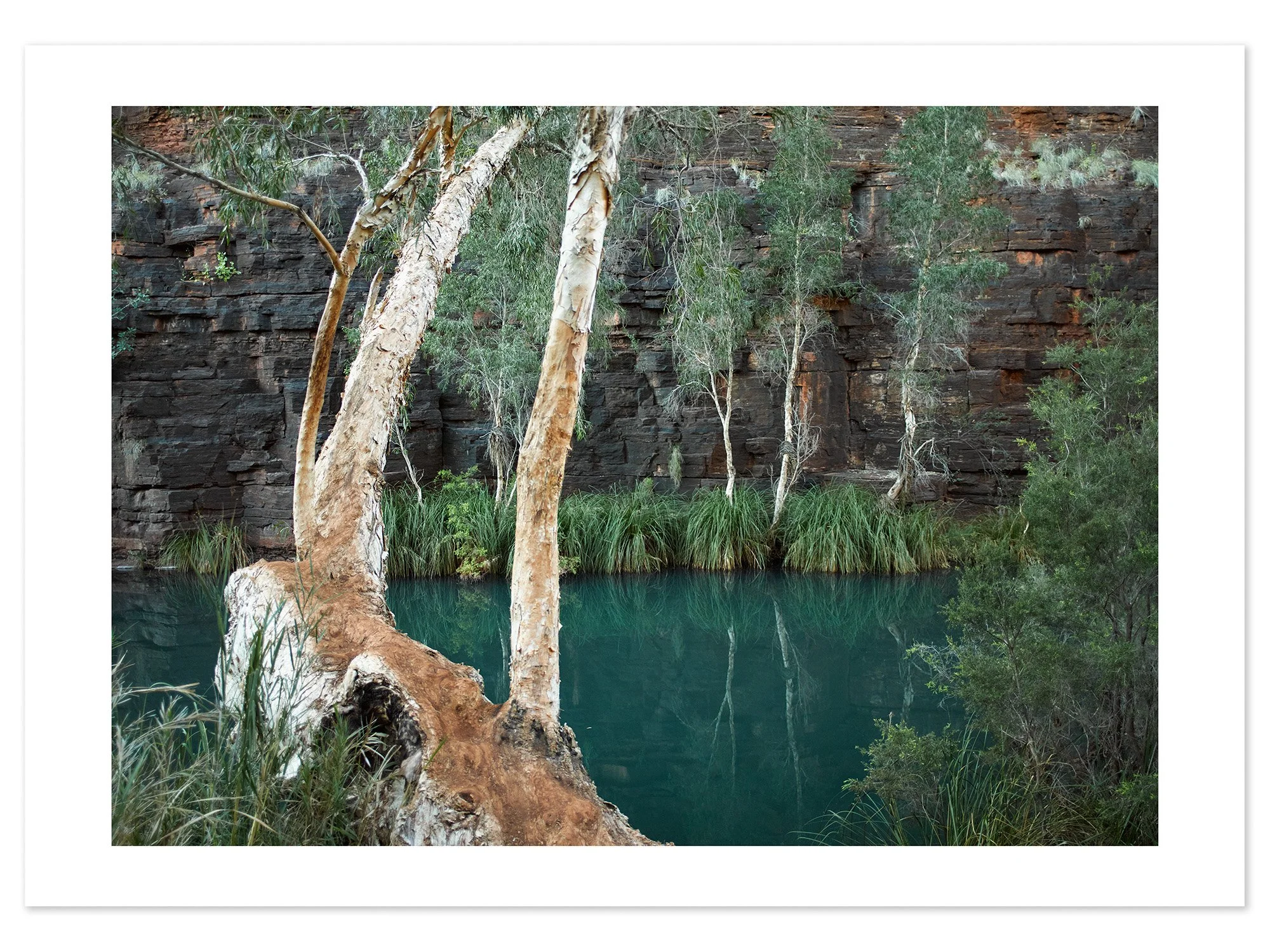 Dales Gorge (A1) for web.jpg