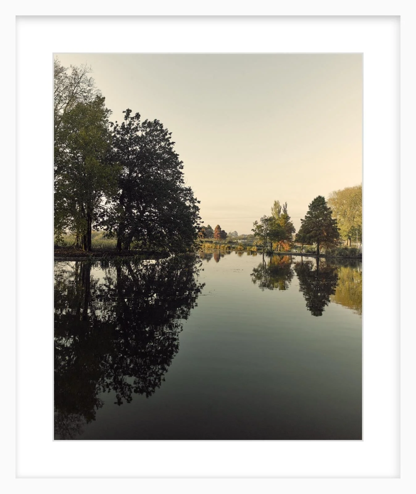 Fairyland - 16" x 20" - white.jpg