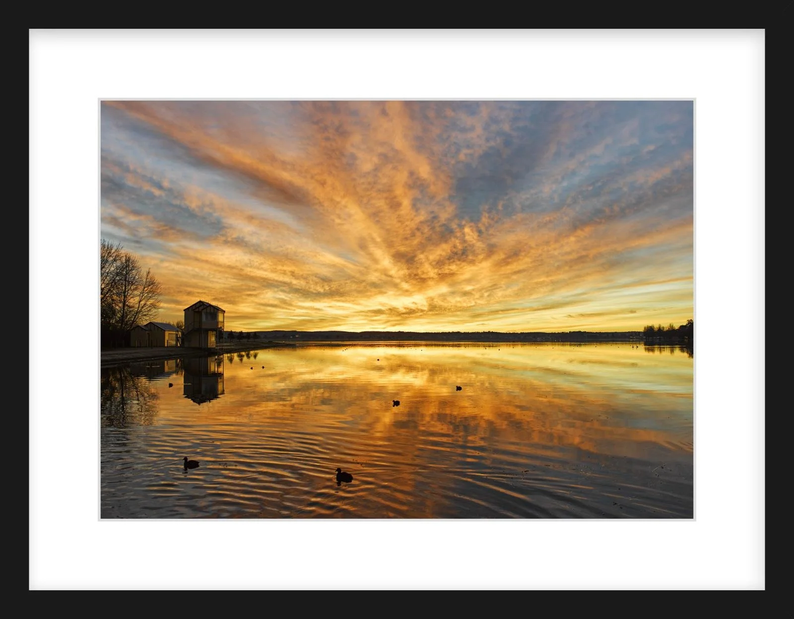 Lake Wendouree sunrise - 297mm x 420mm black.jpg