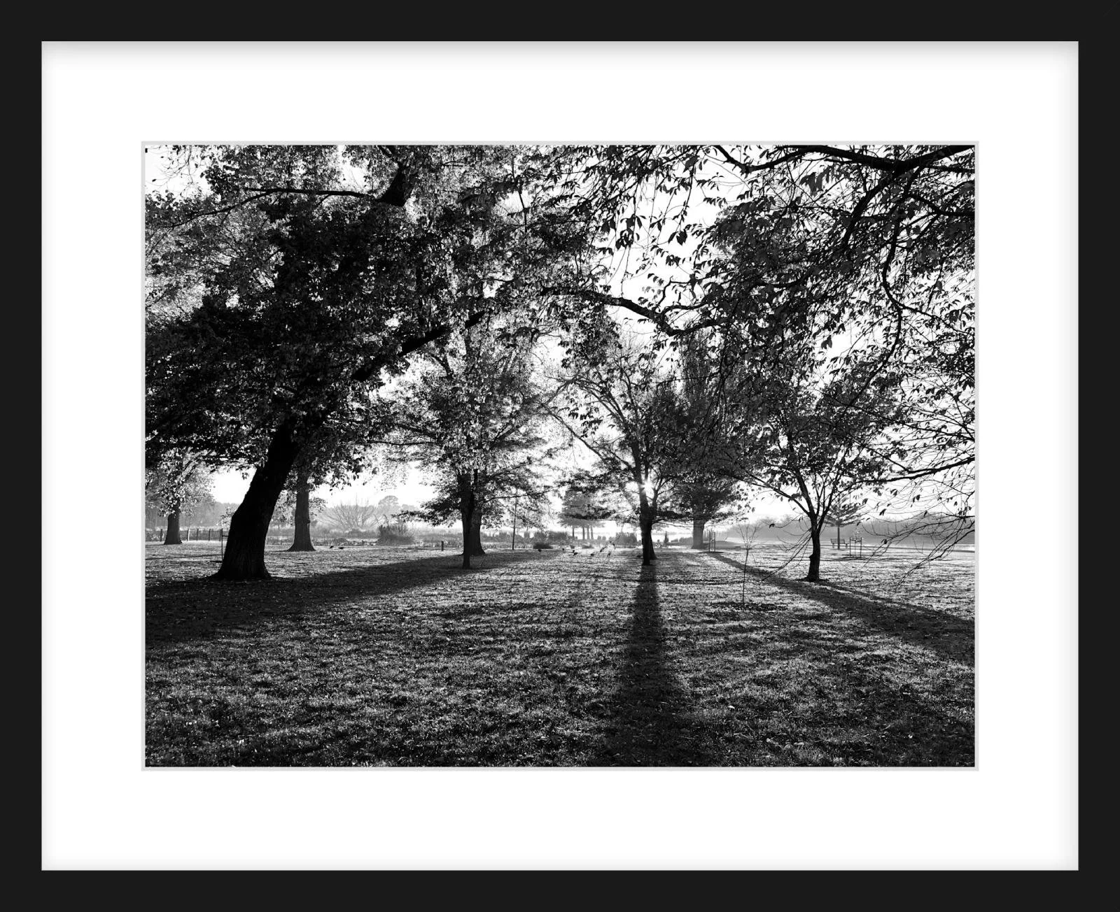 Long Shadows - 12" x 16" black.jpg