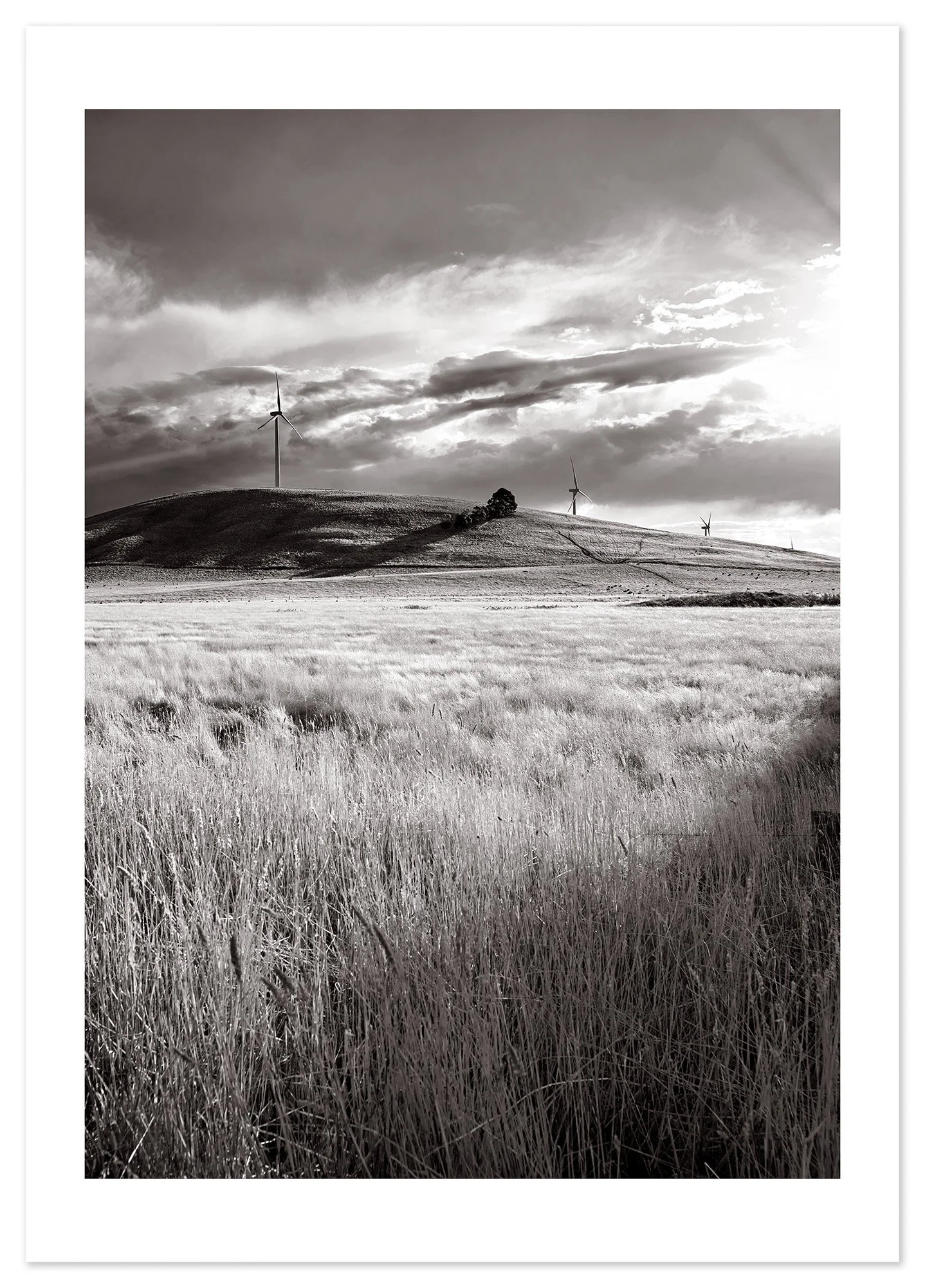 Waubra Wind Farm 02 (A0) for web.jpg