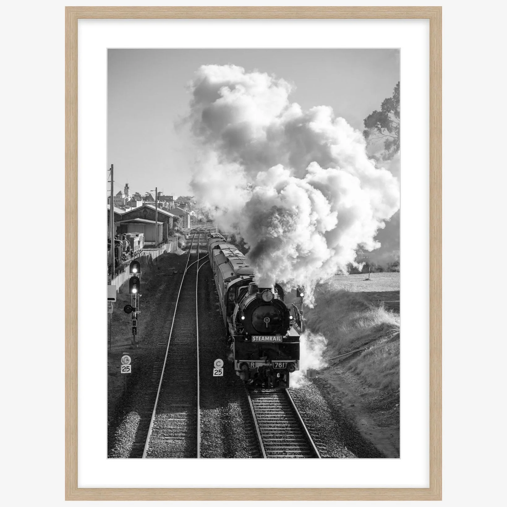R761 - Steamrail Victoria departing Ballarat - 500mm x 700mm wood - square.jpg