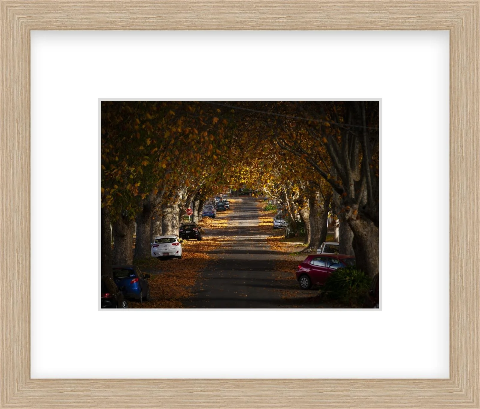 Autumn in Frank St - 6" x 8" Springfield skinny.jpg