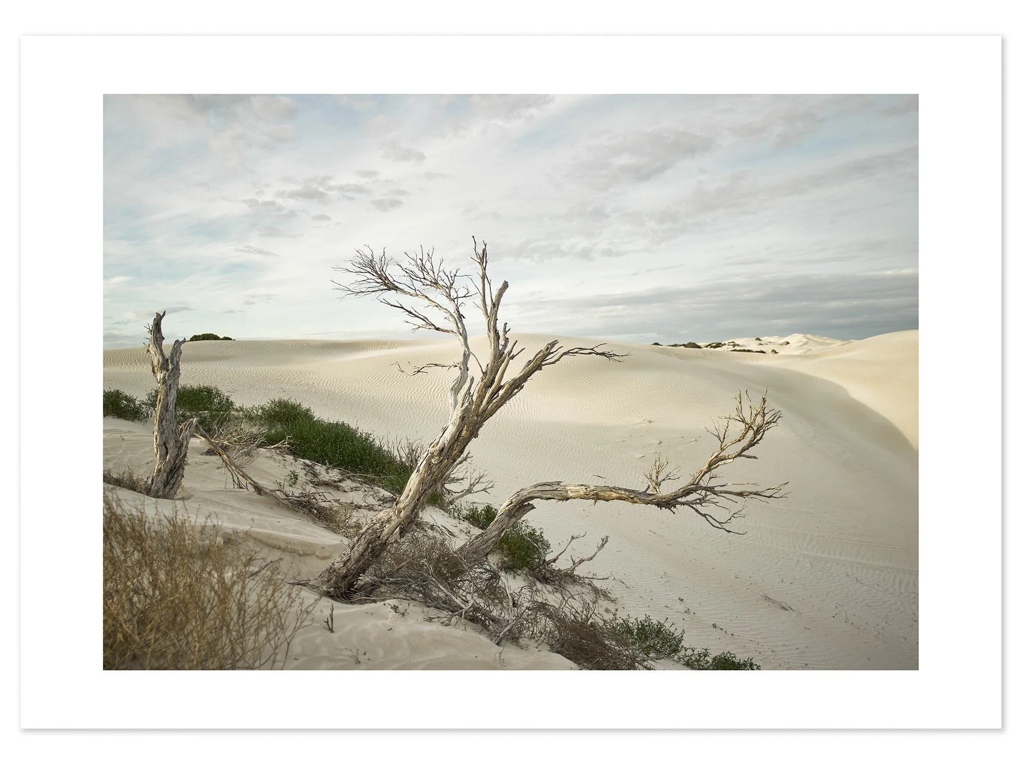 Yanerbie sand dunes (A2) for web.jpg