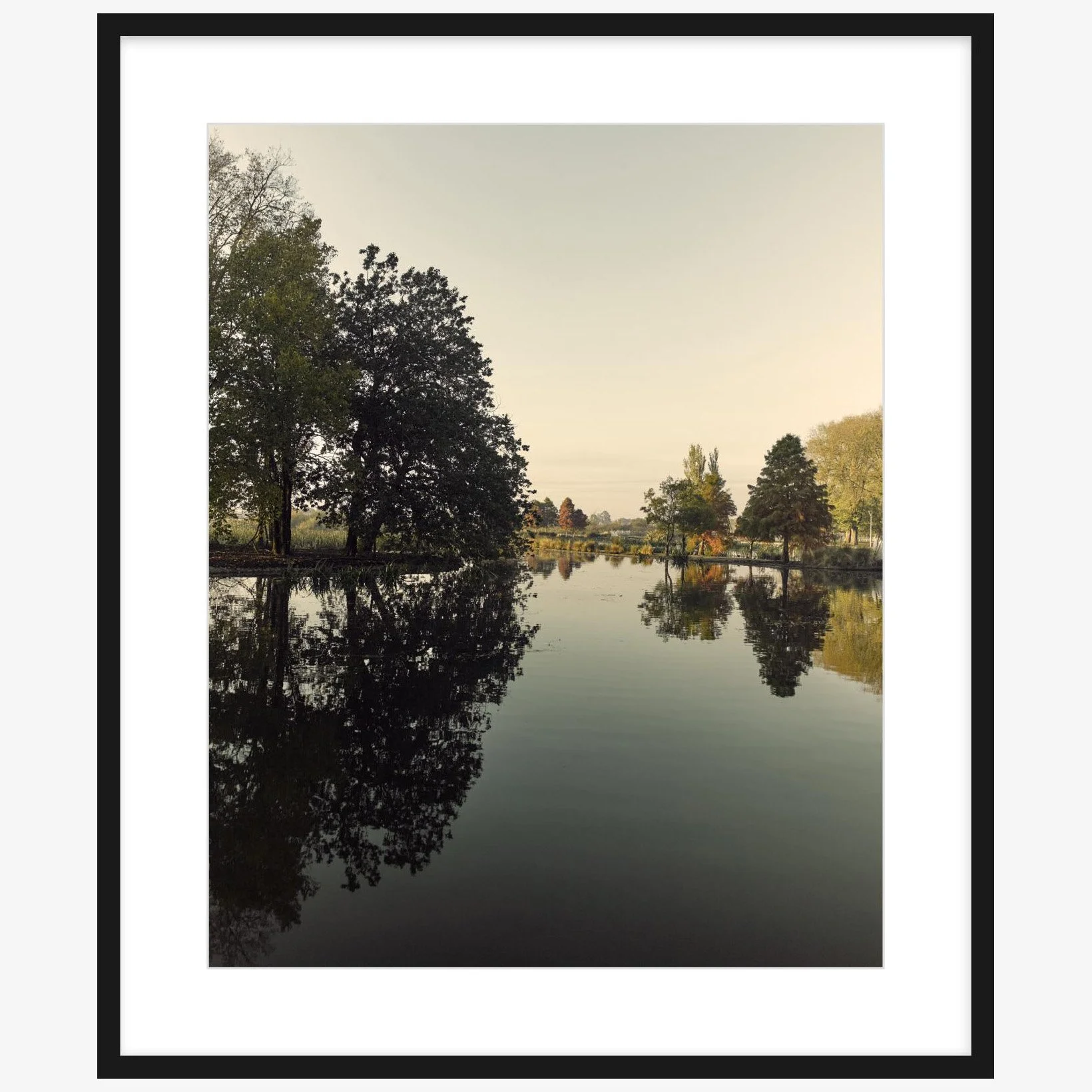 Fairyland - 24" x 30" - black - square.jpg