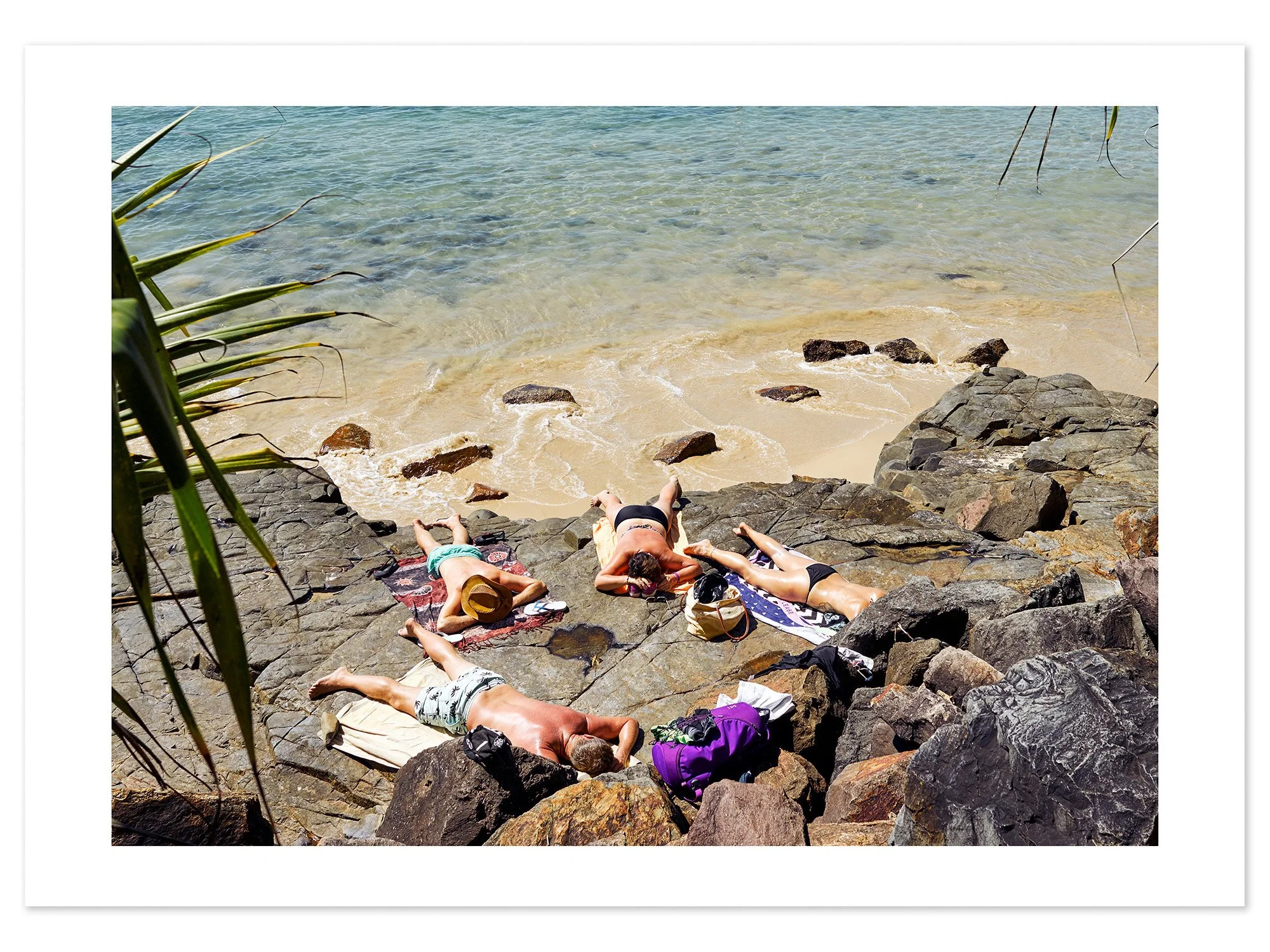 Noosa Sunbathers (A1) for web.jpg
