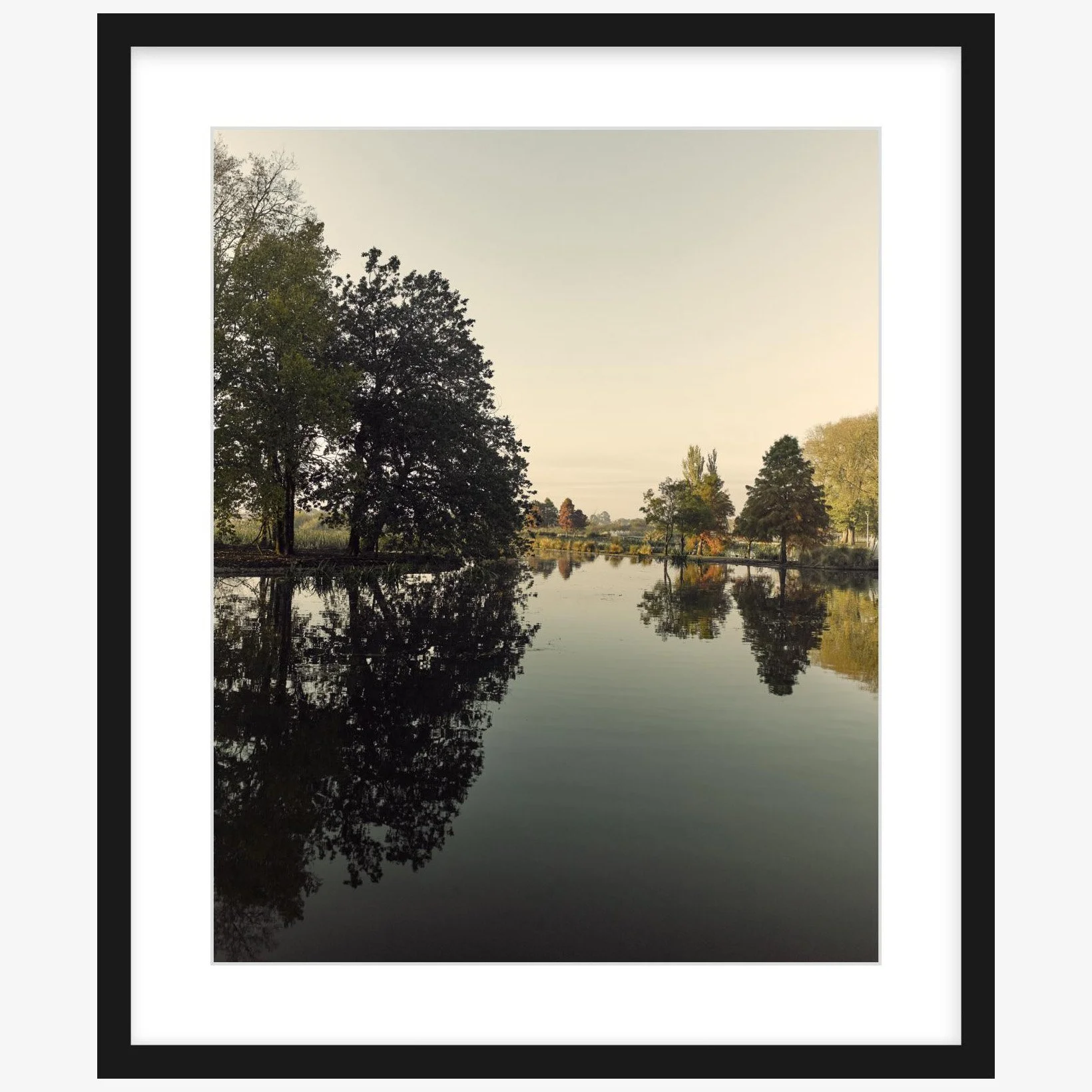 Fairyland - 16" x 20" - black - square.jpg