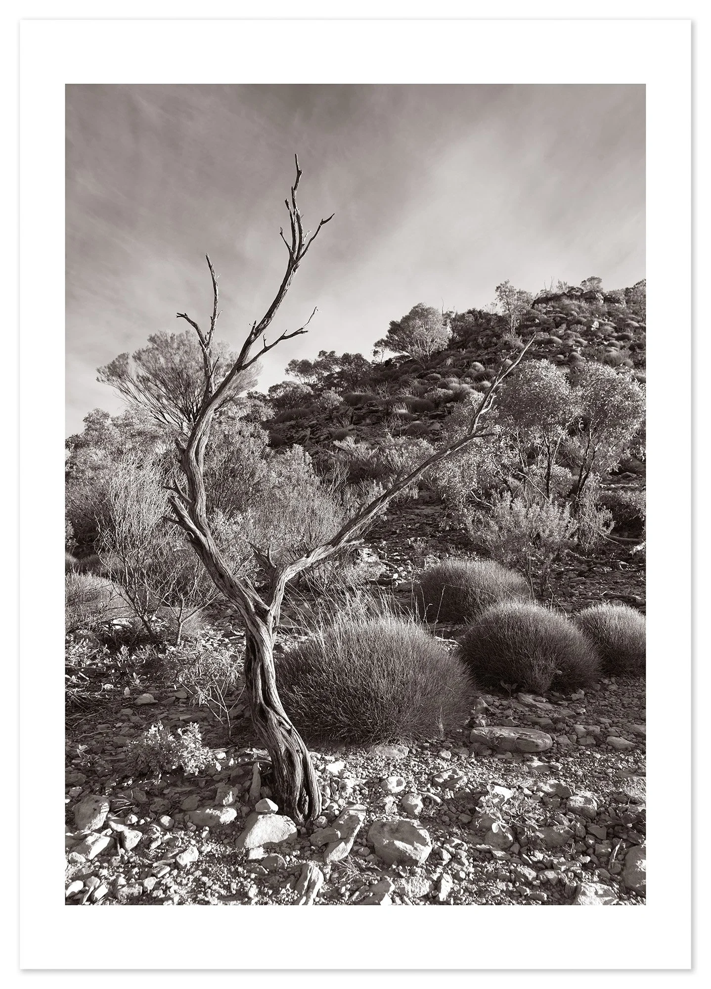 Katheriine Gorge (A0) for web.jpg