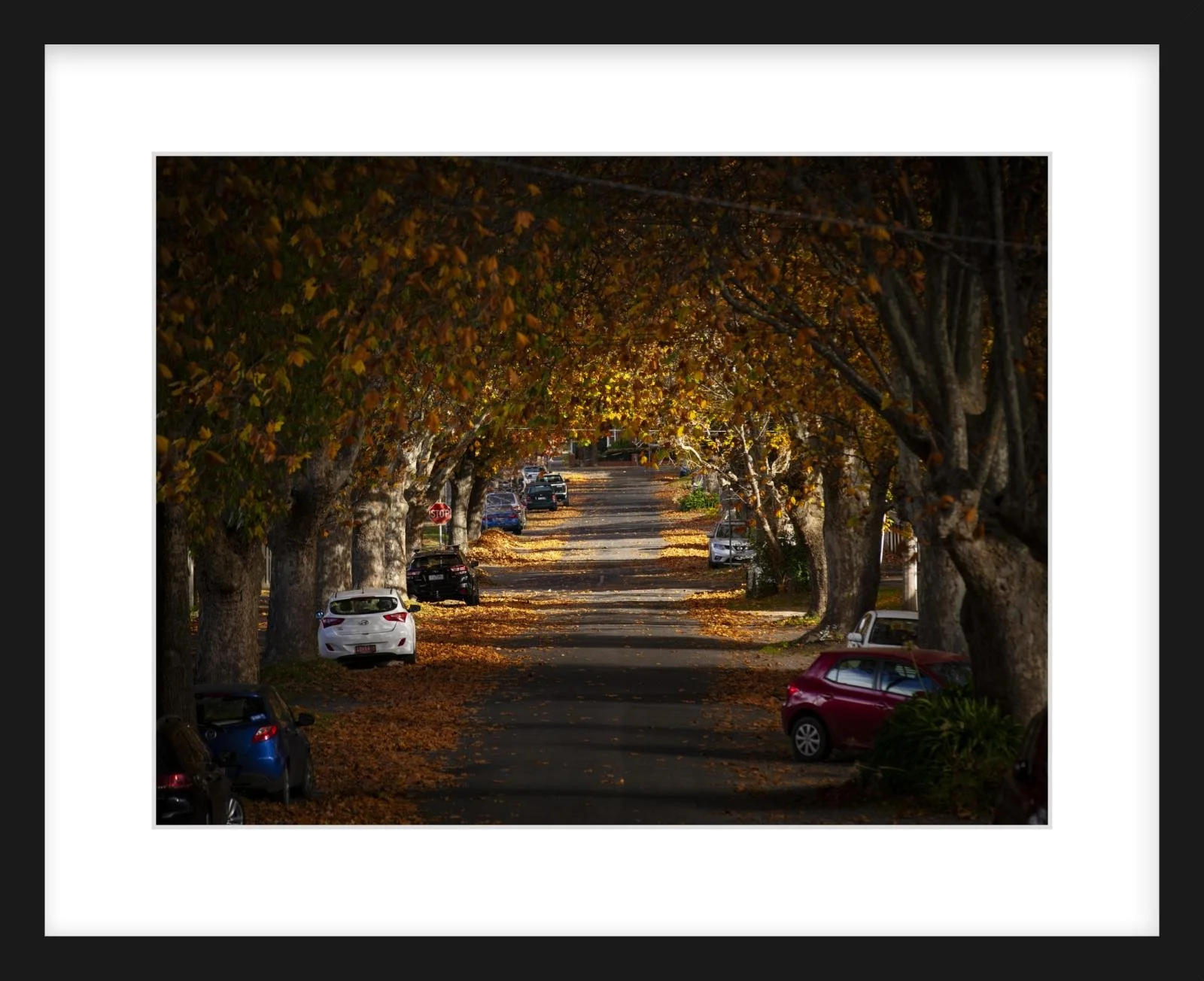 Autumn in Frank St - 12" x 16" Zeppilin slim.jpg