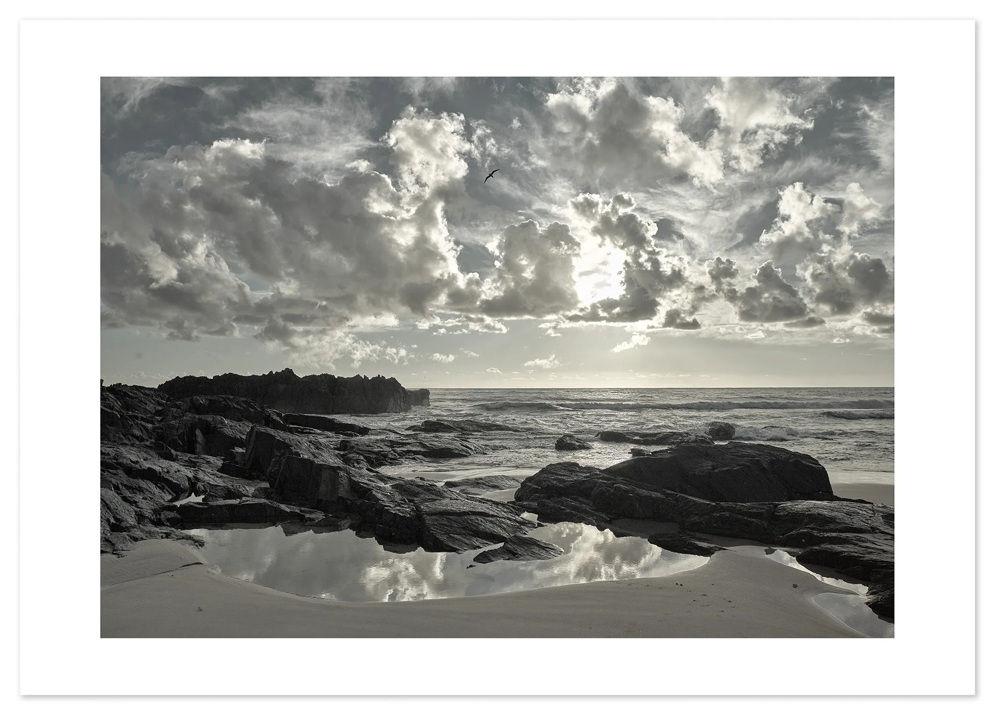 Scotts Head (A2) for web.jpg