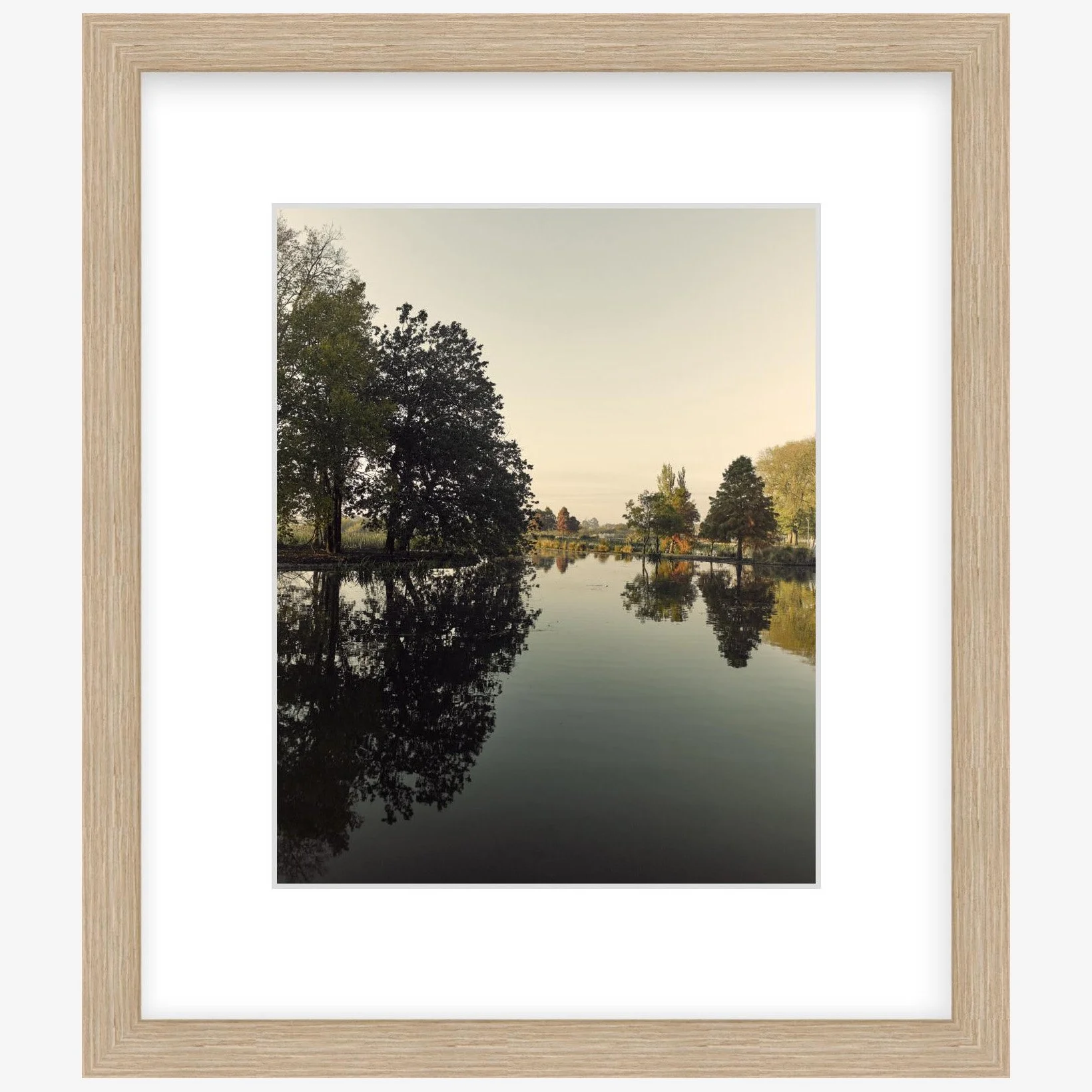 Fairyland - 8" x 10" - wood - square.jpg