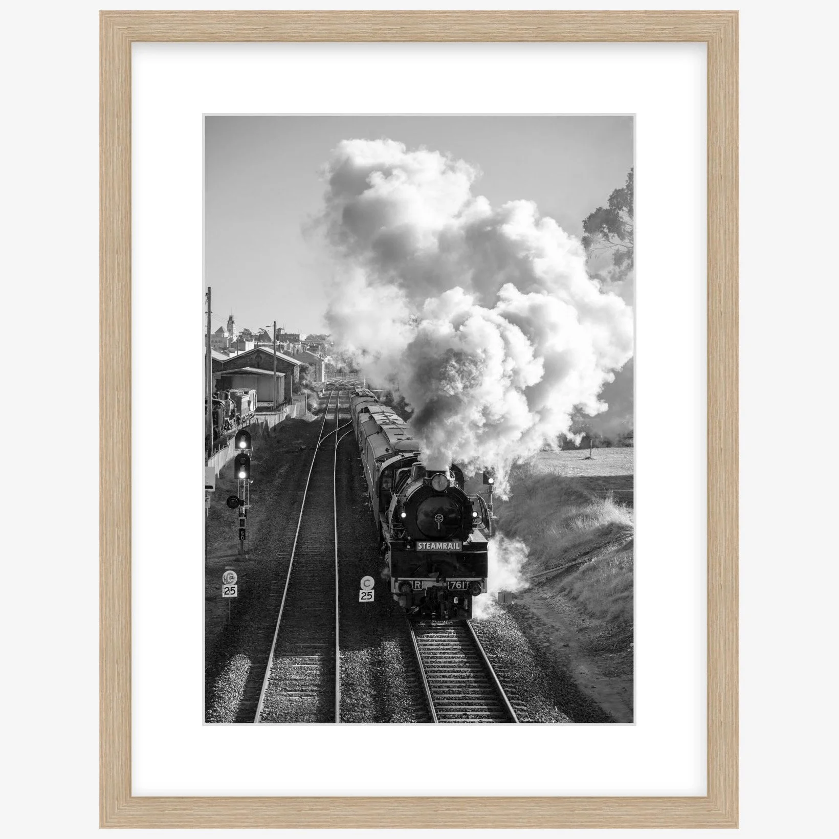 R761 - Steamrail Victoria departing Ballarat - 420mm x 297mm wood - square.jpg