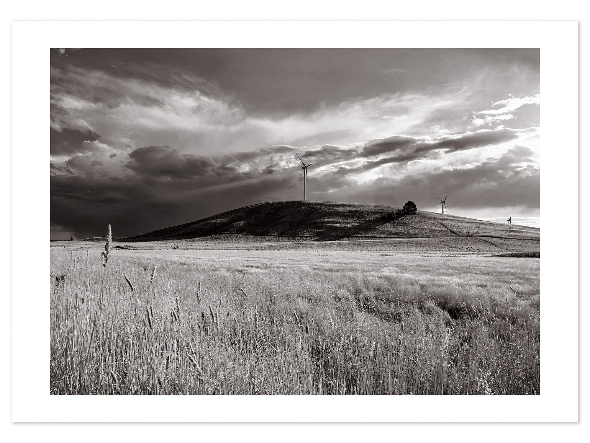 Waubra Wind Farm 01 (A0) for web.jpg