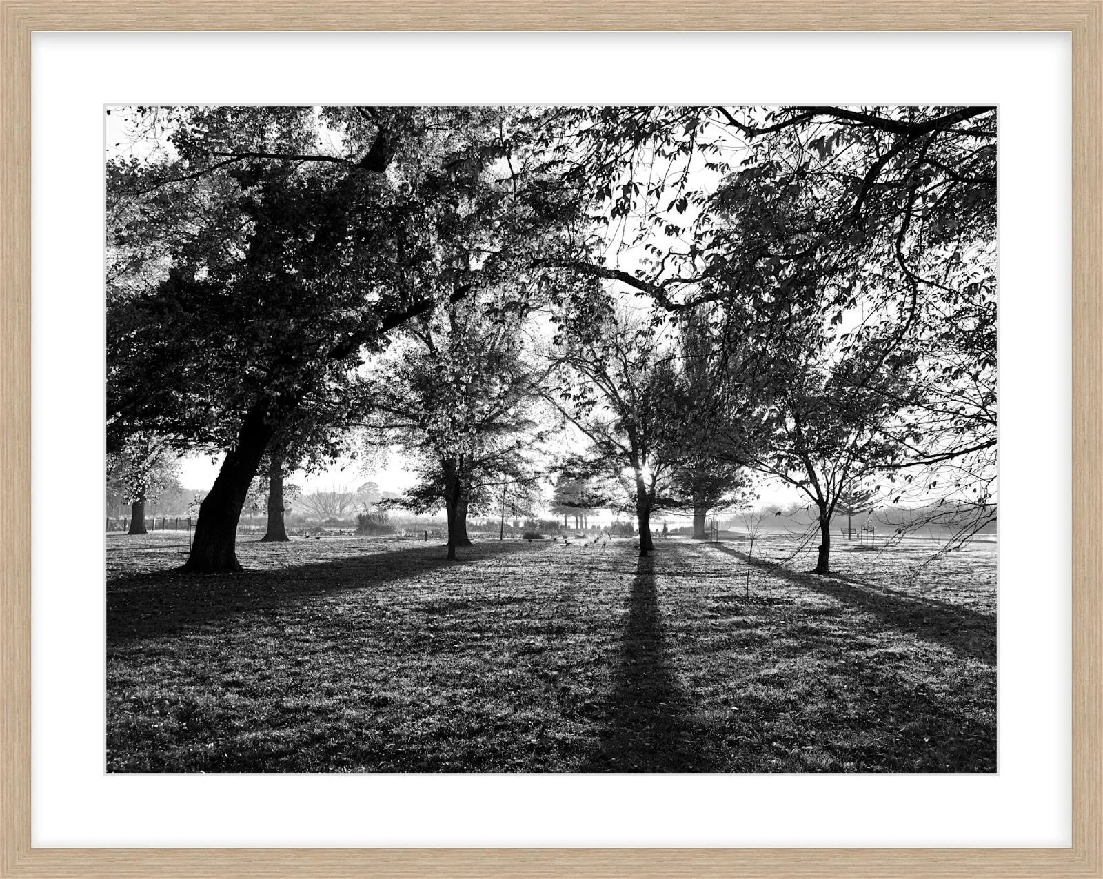 Long Shadows - 18" x 24" wood.jpg