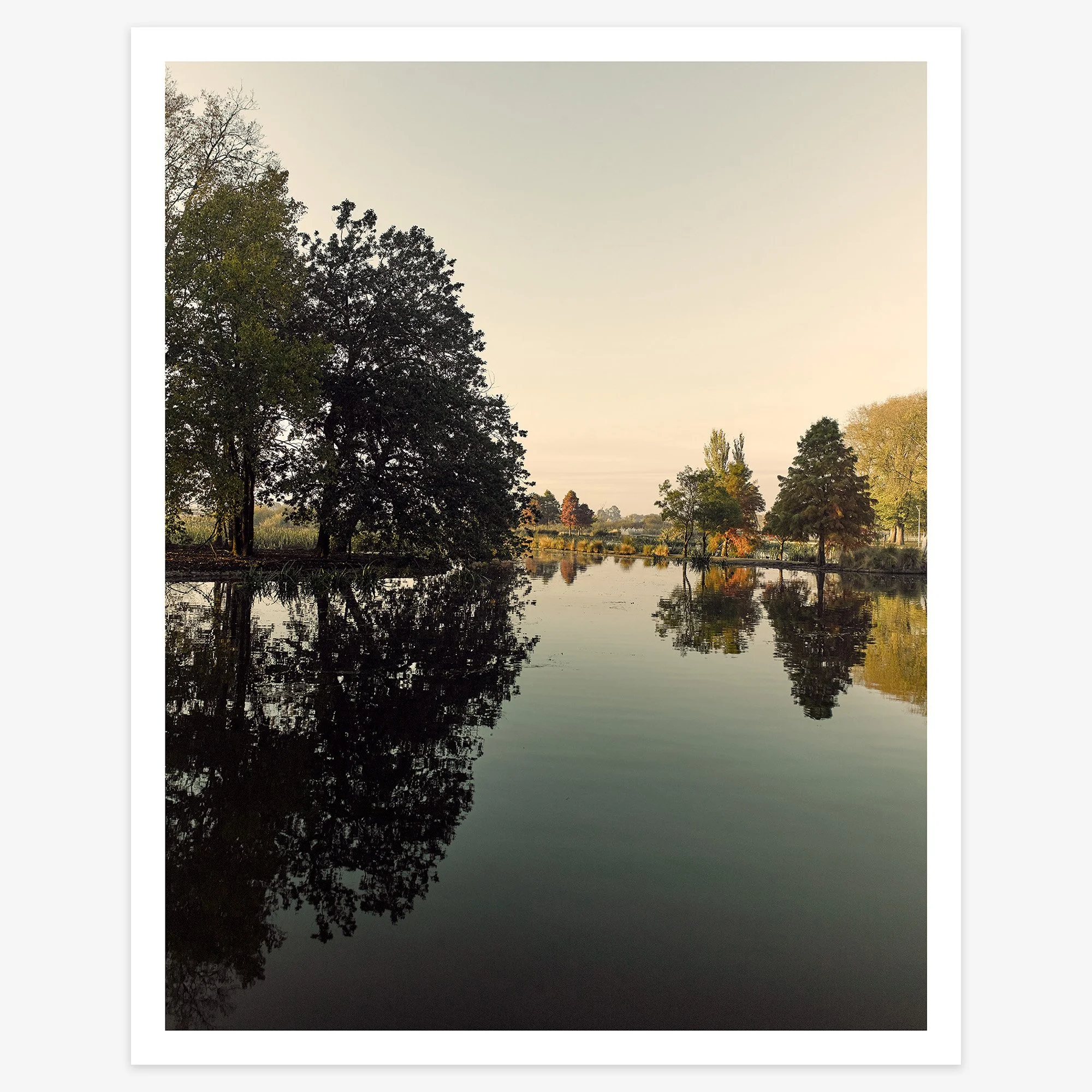 Fairyland - 24" x 30" - print 25mm border - square.jpg
