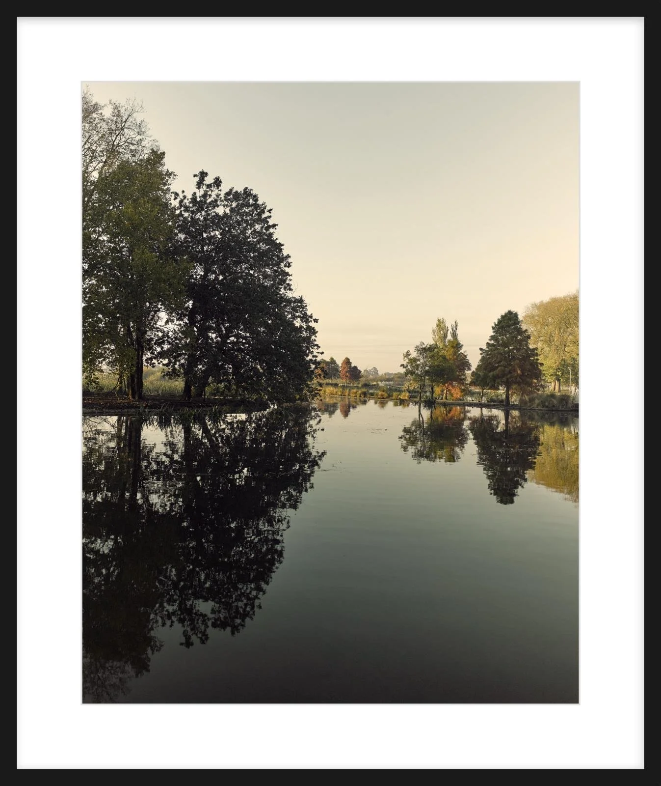 Fairyland - 24" x 30" - black.jpg