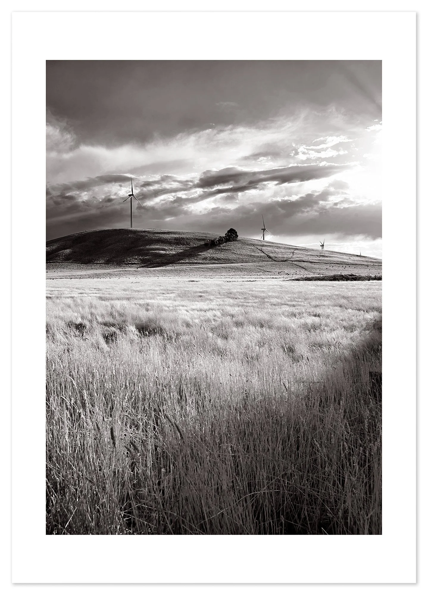 Waubra Wind Farm 02 (A2) for web.jpg