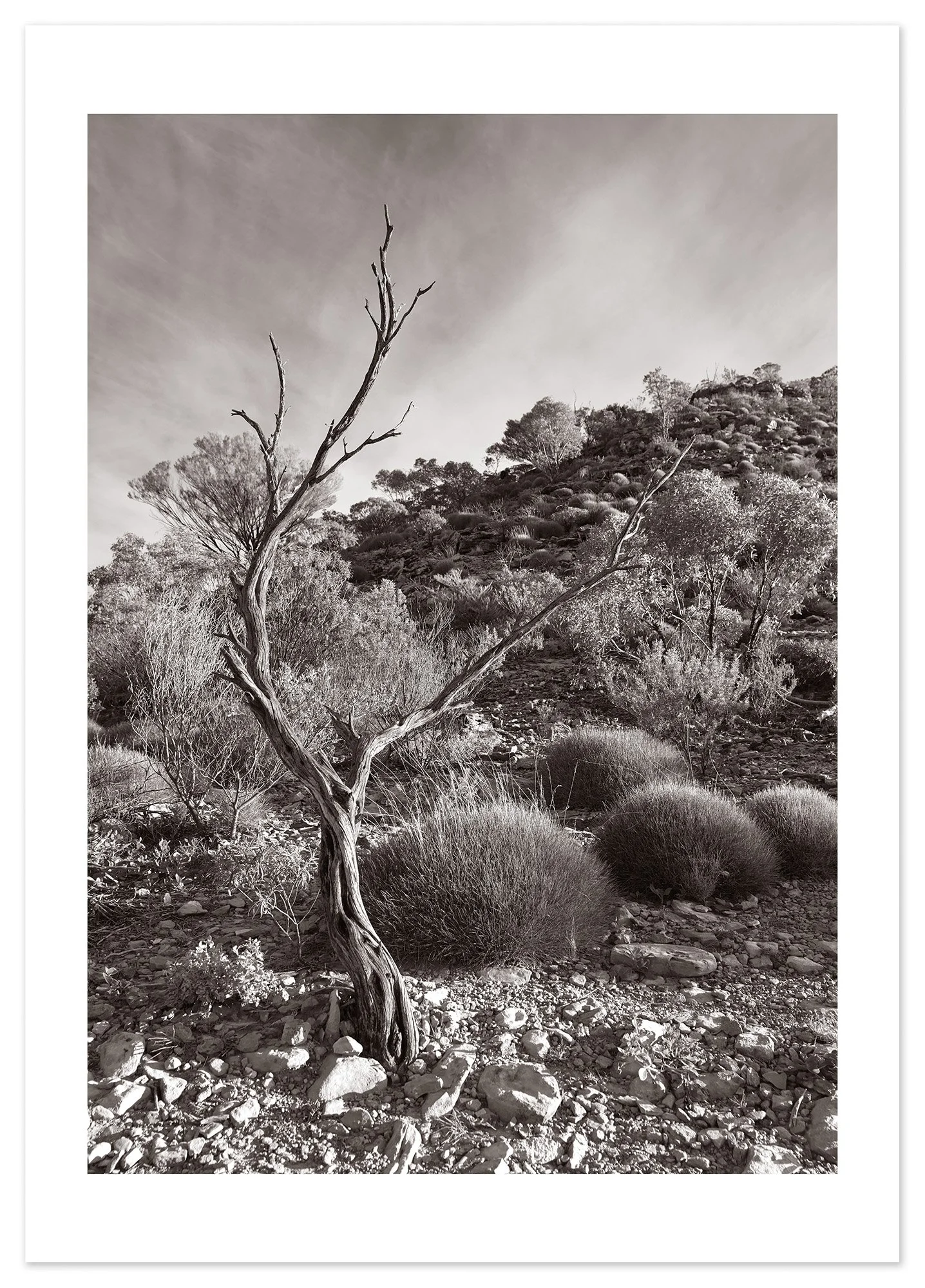 Katheriine Gorge (A1) for web.jpg