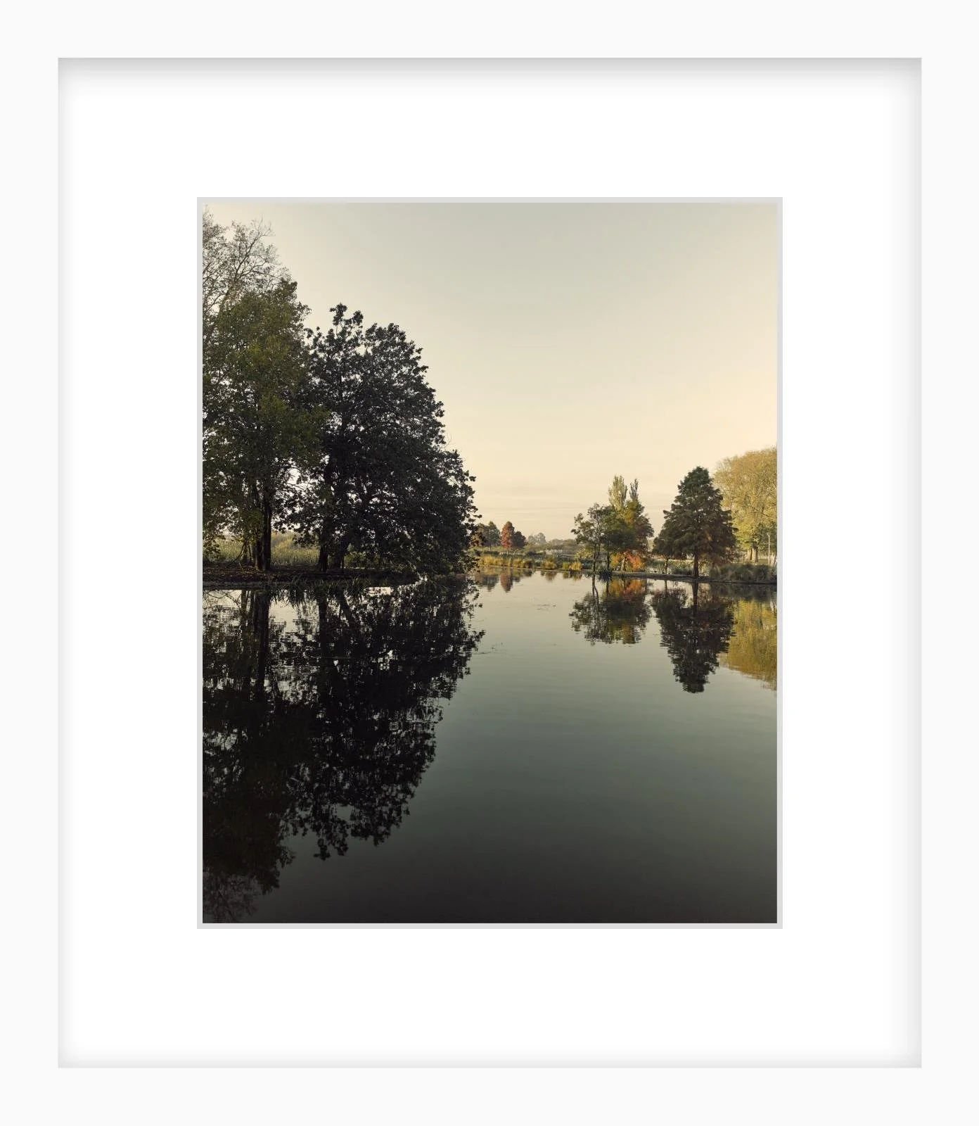 Fairyland - 8" x 10" - white.jpg