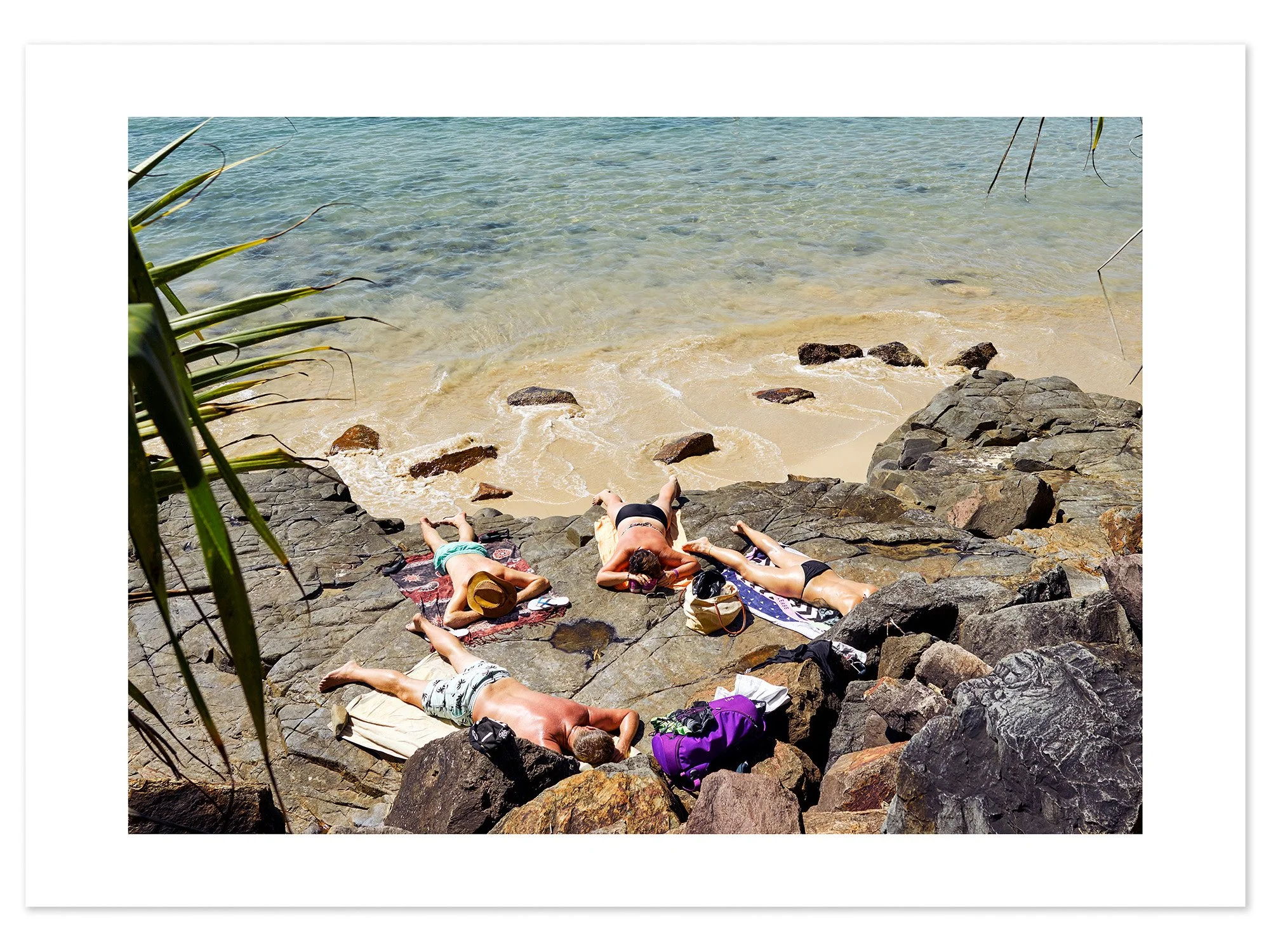 Noosa Sunbathers (A2) for web.jpg