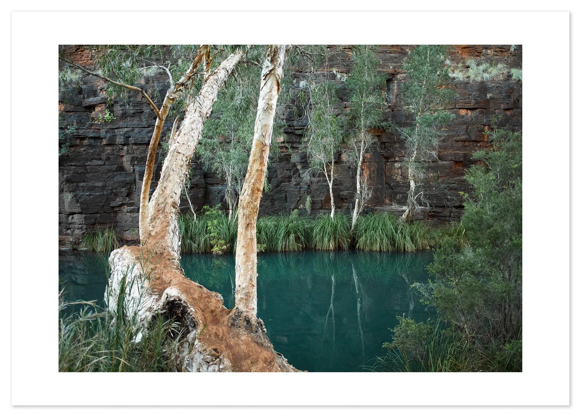Dales Gorge (A2) for web.jpg