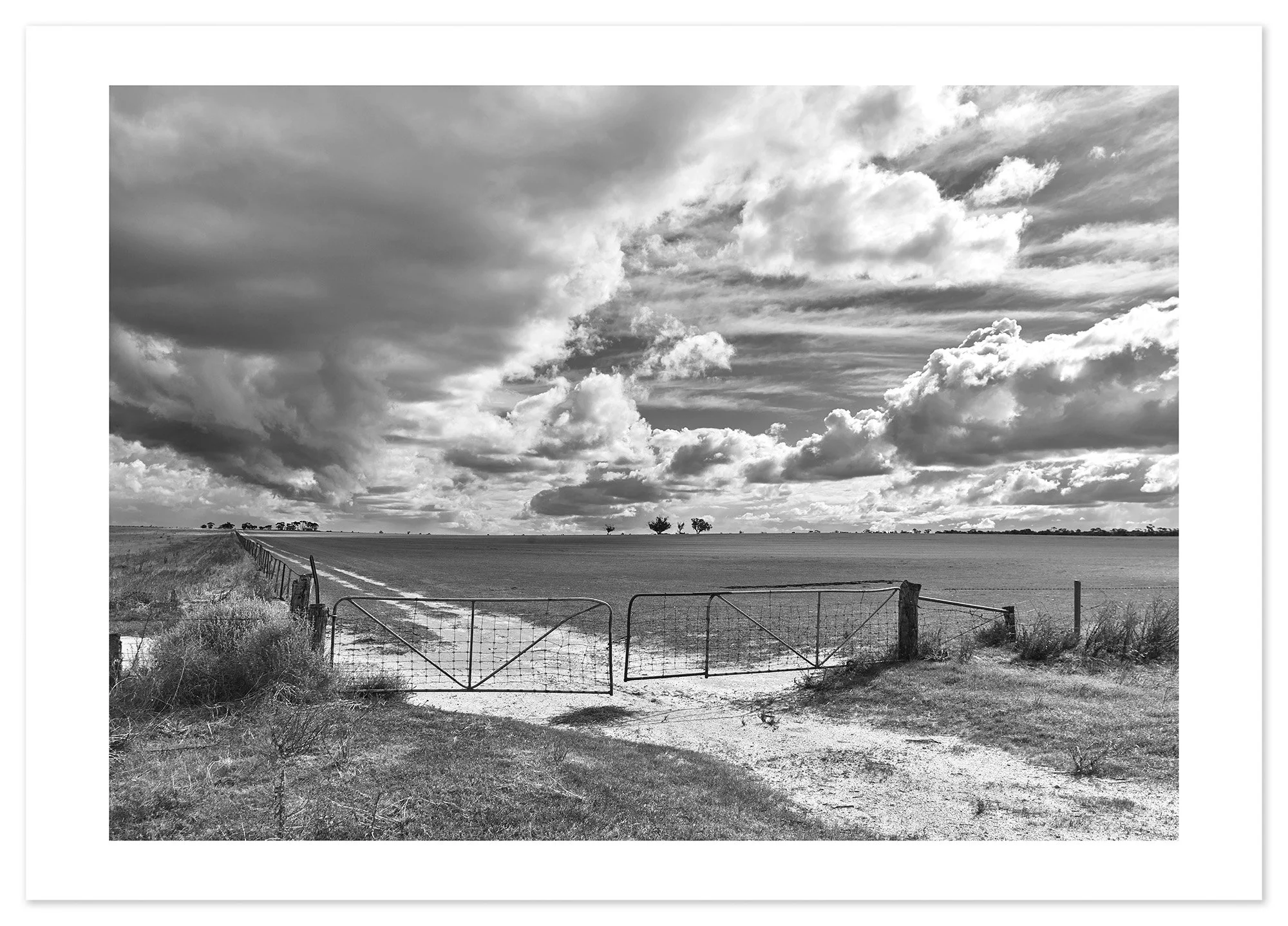 Wimmera Paddock (B&W-A0) for web.jpg