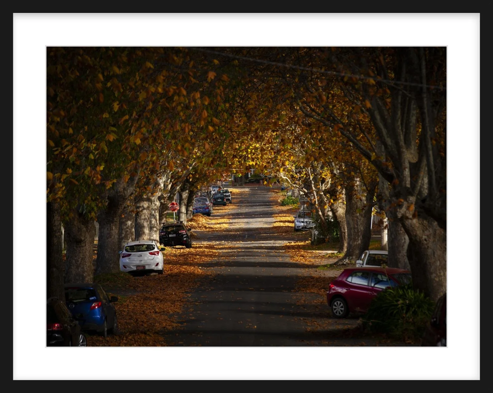 Autumn in Frank St - 18" x 24" black.jpg