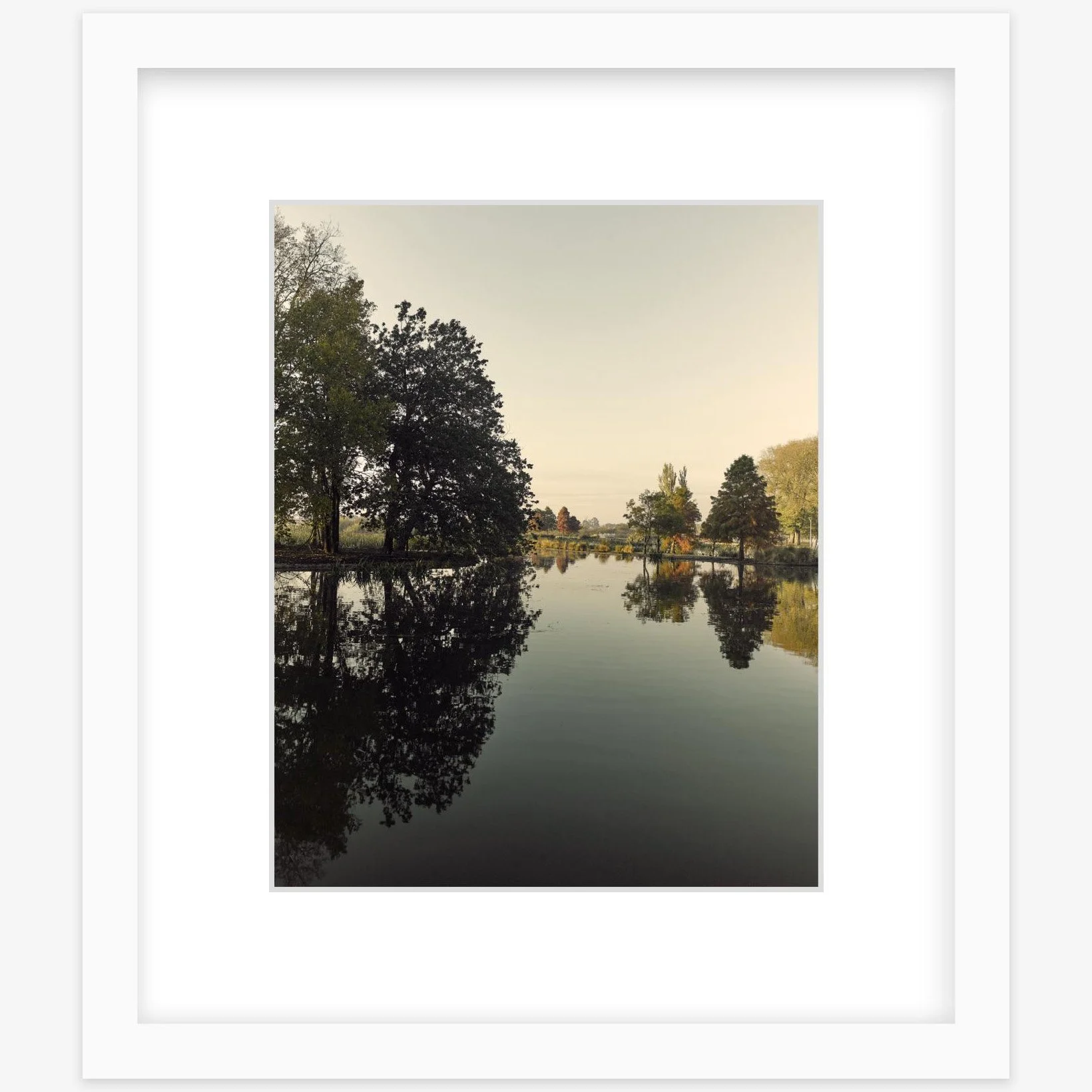 Fairyland - 8" x 10" - white - square.jpg