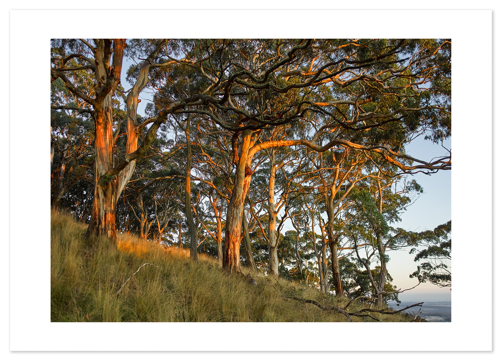 Mt Buninyong at dusk 02 (A2) for web.jpg