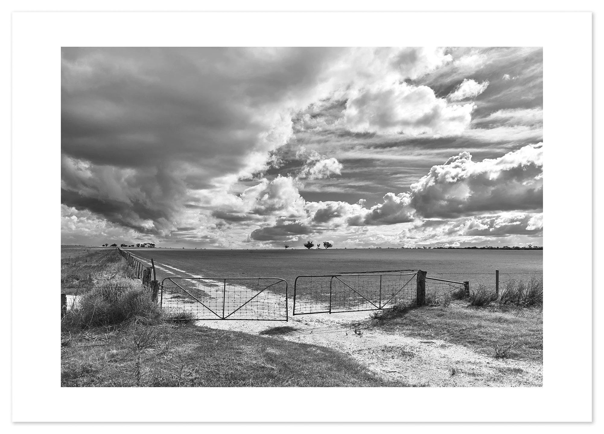 Wimmera Paddock (B&W-A2) for web.jpg