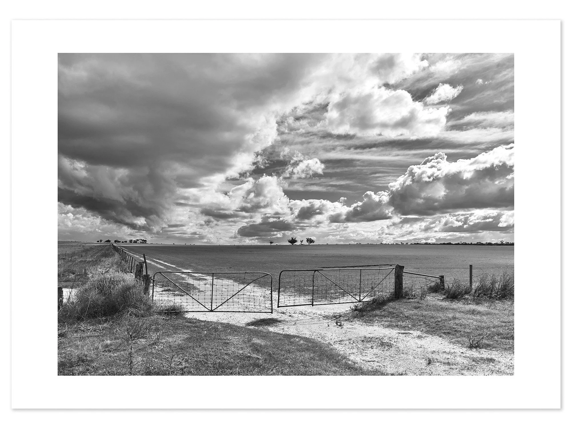 Wimmera Paddock (B&W-A2) for web.jpg