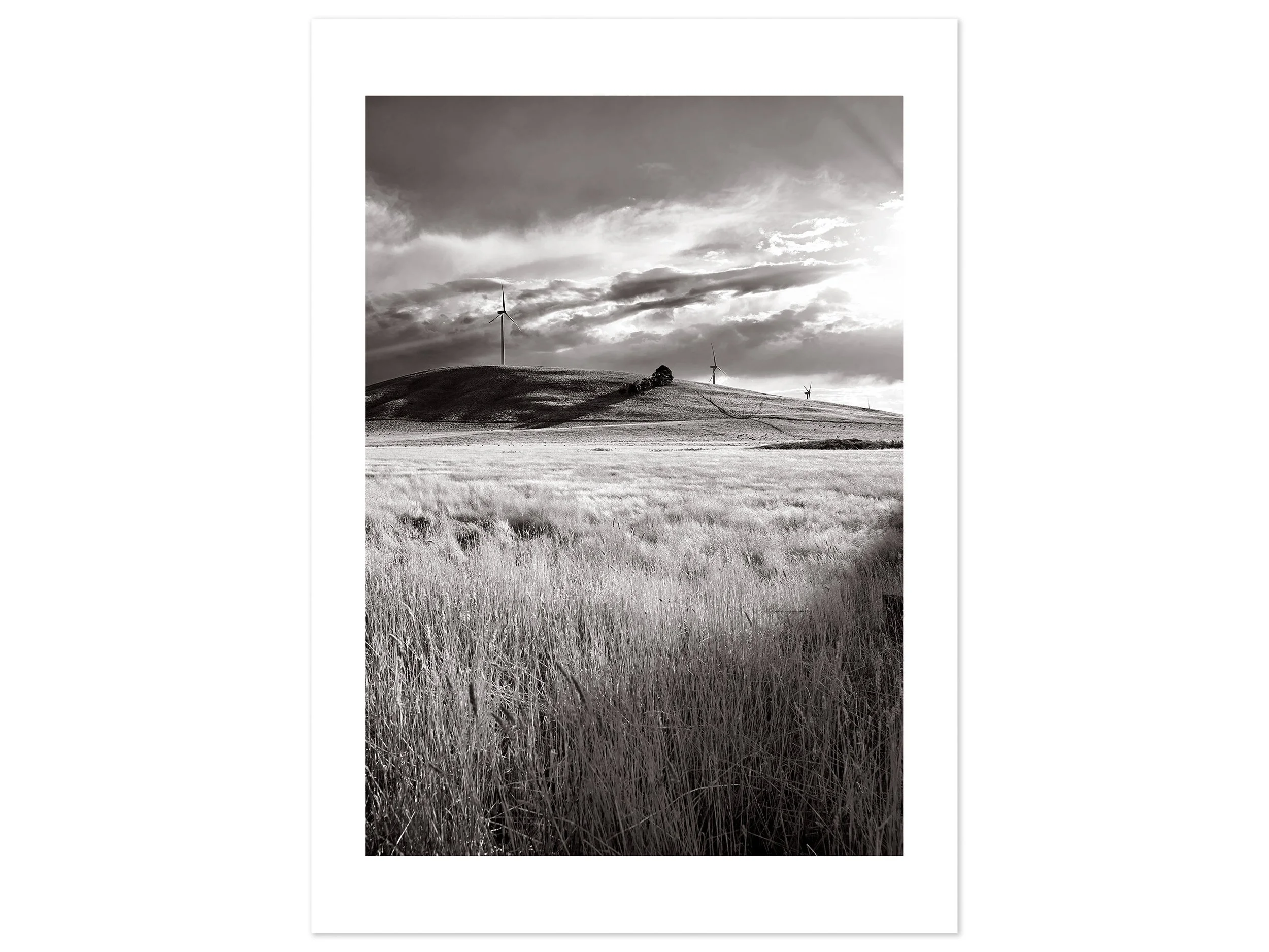 Waubra Wind Farm 02 (A2) for web.jpg