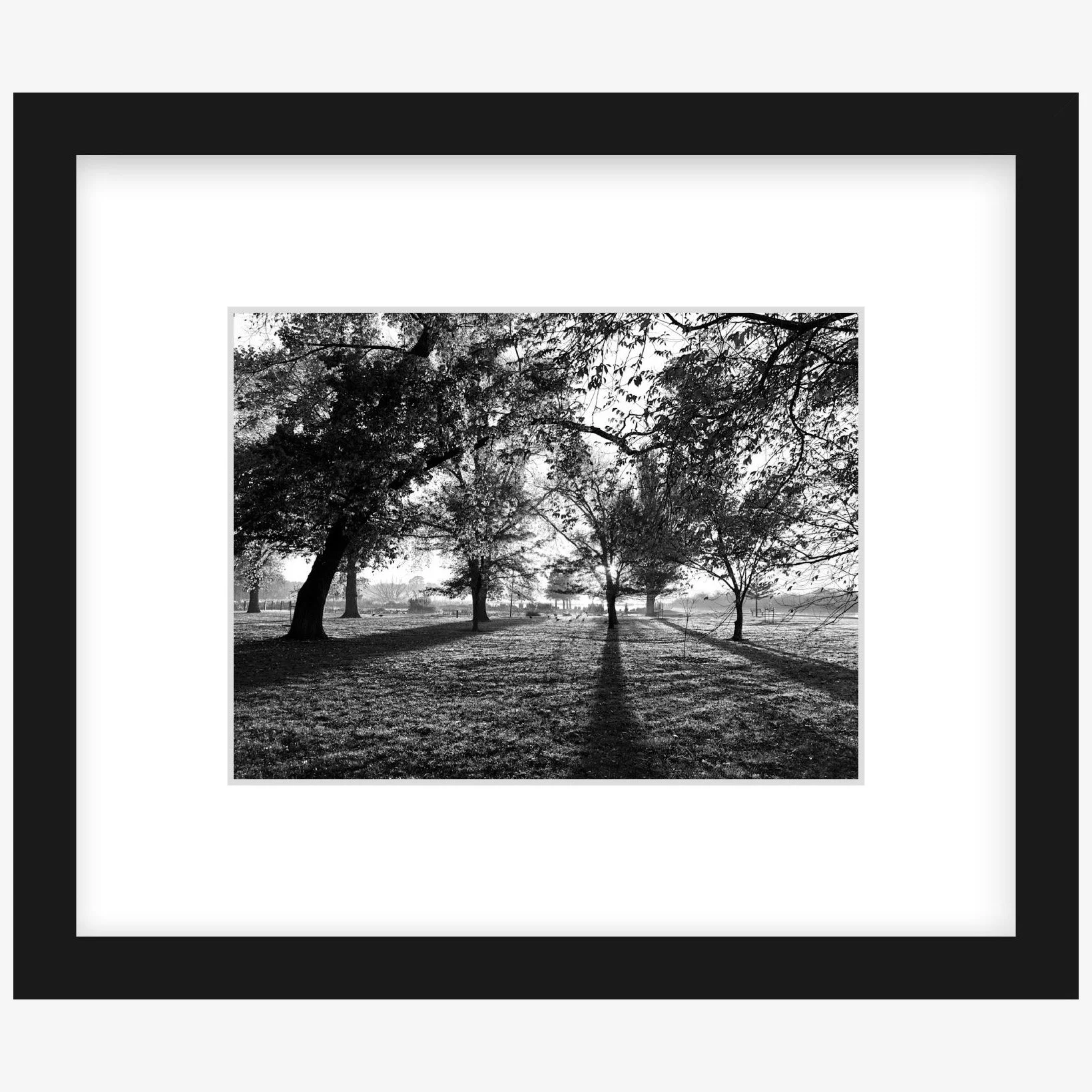 Long Shadows - 6" x 8" black - square.jpg