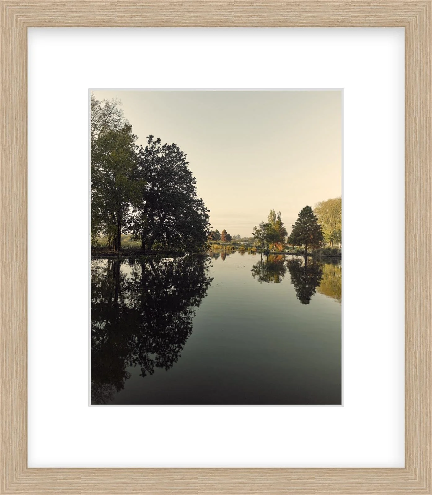 Fairyland - 8" x 10" - wood.jpg