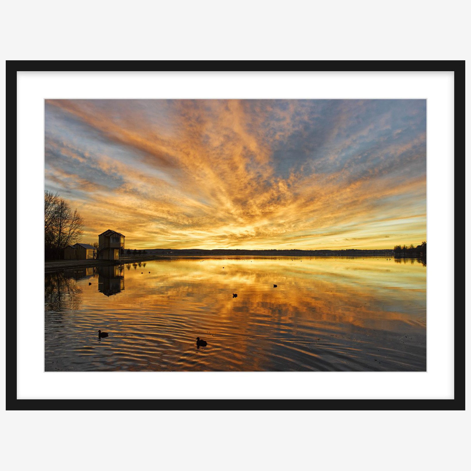 Lake Wendouree sunrise - 500mm x 700mm black - square.jpg