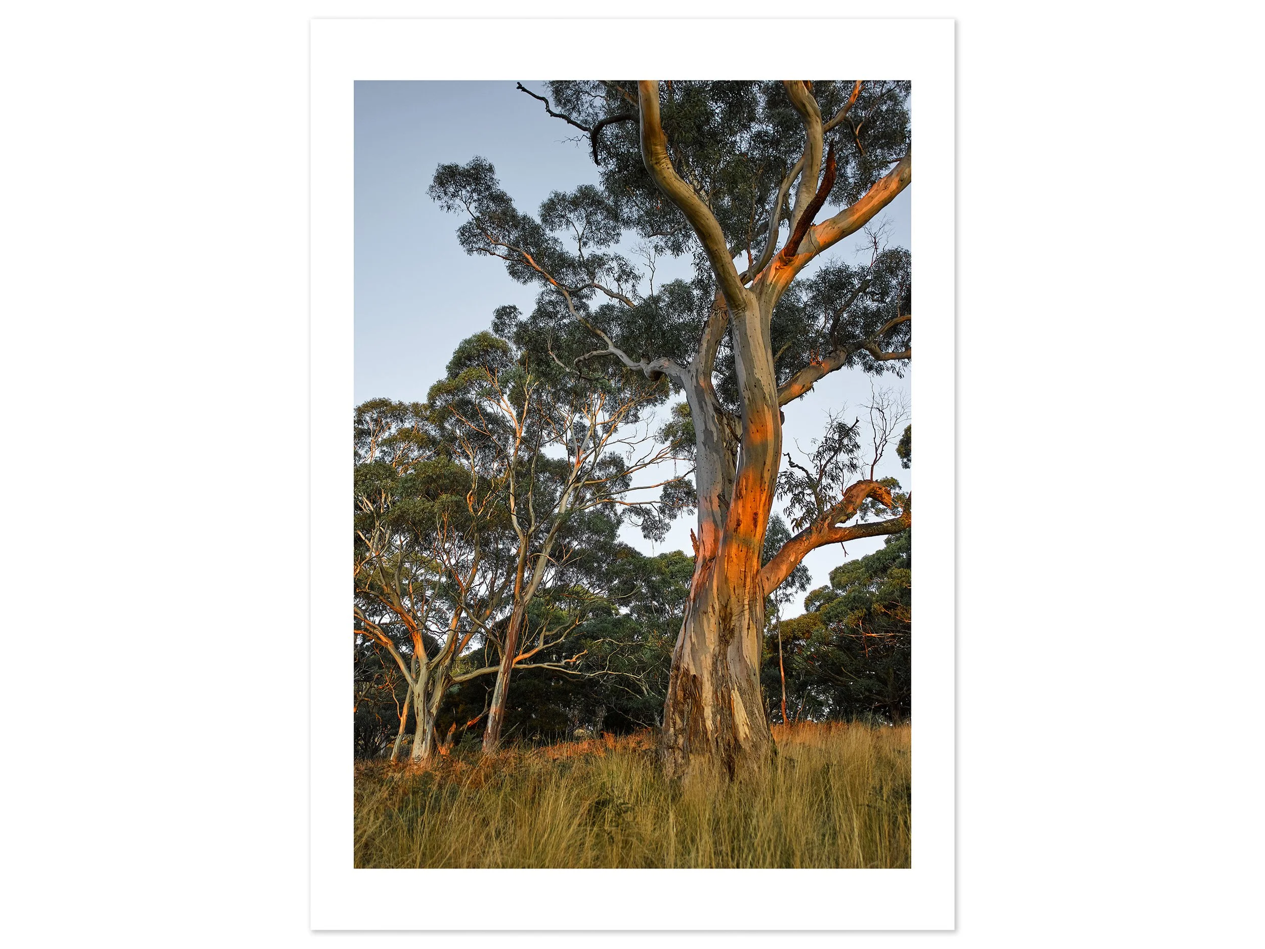 Mt Buninyong at dusk 03