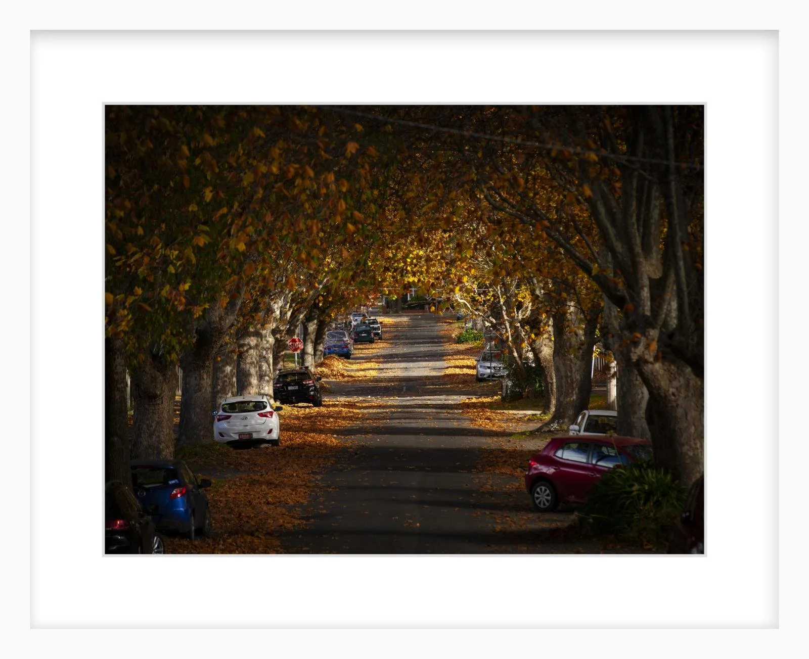 Autumn in Frank St - 12" x 16" Lenin slim.jpg
