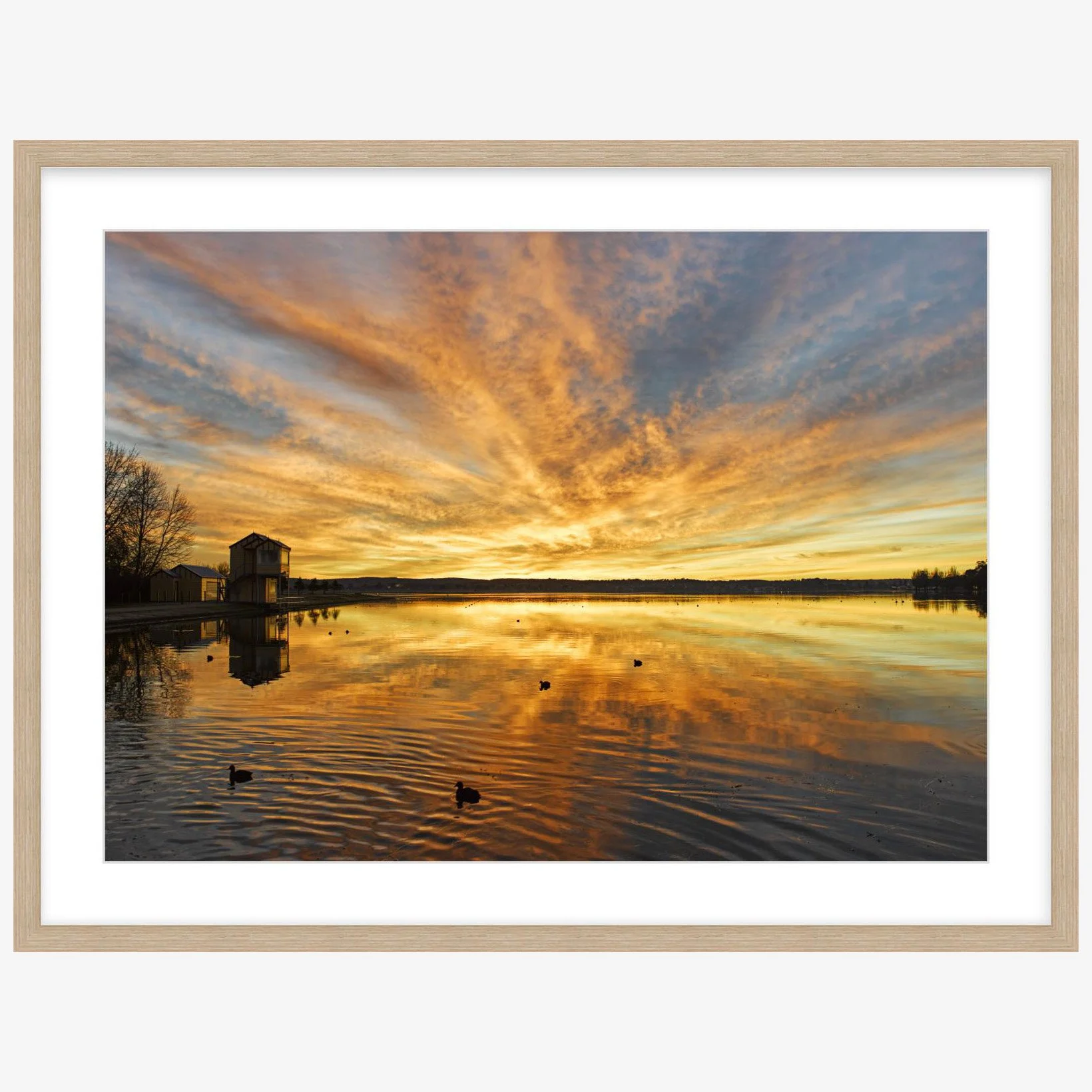 Lake Wendouree sunrise - 500mm x 700mm wood - square.jpg