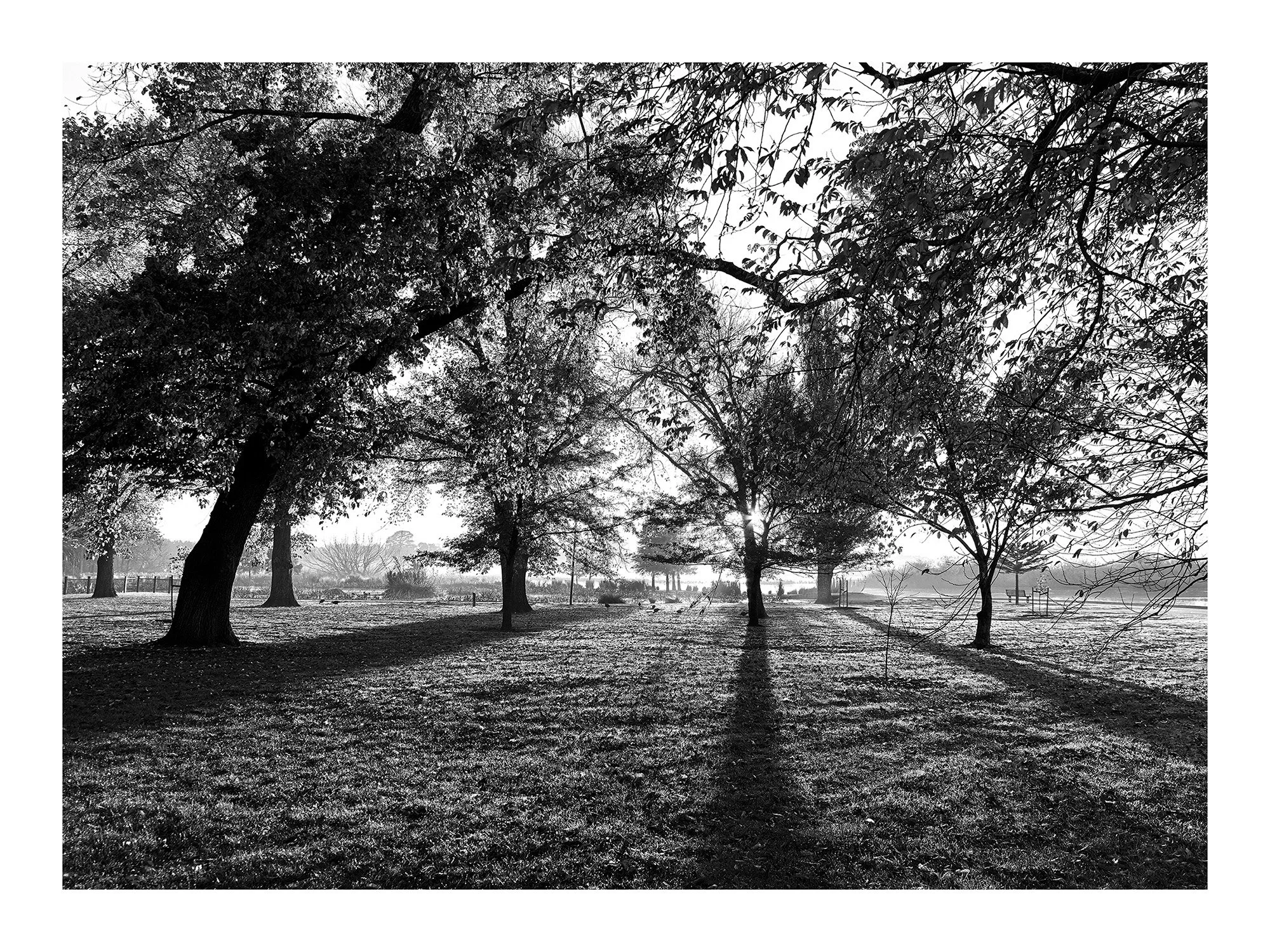 Long Shadows - 6" x 8" print 10mm border.jpg