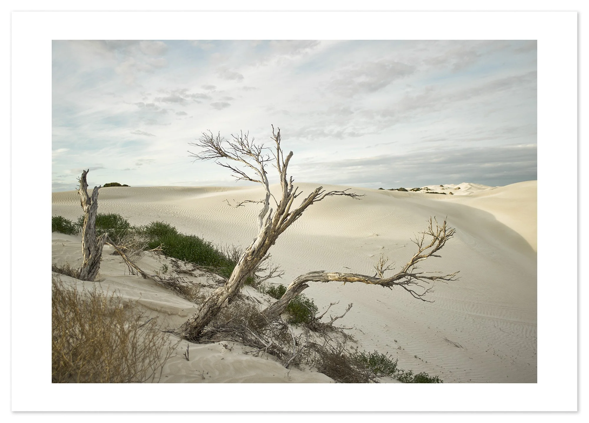 Yanerbie sand dunes (A1) for web.jpg