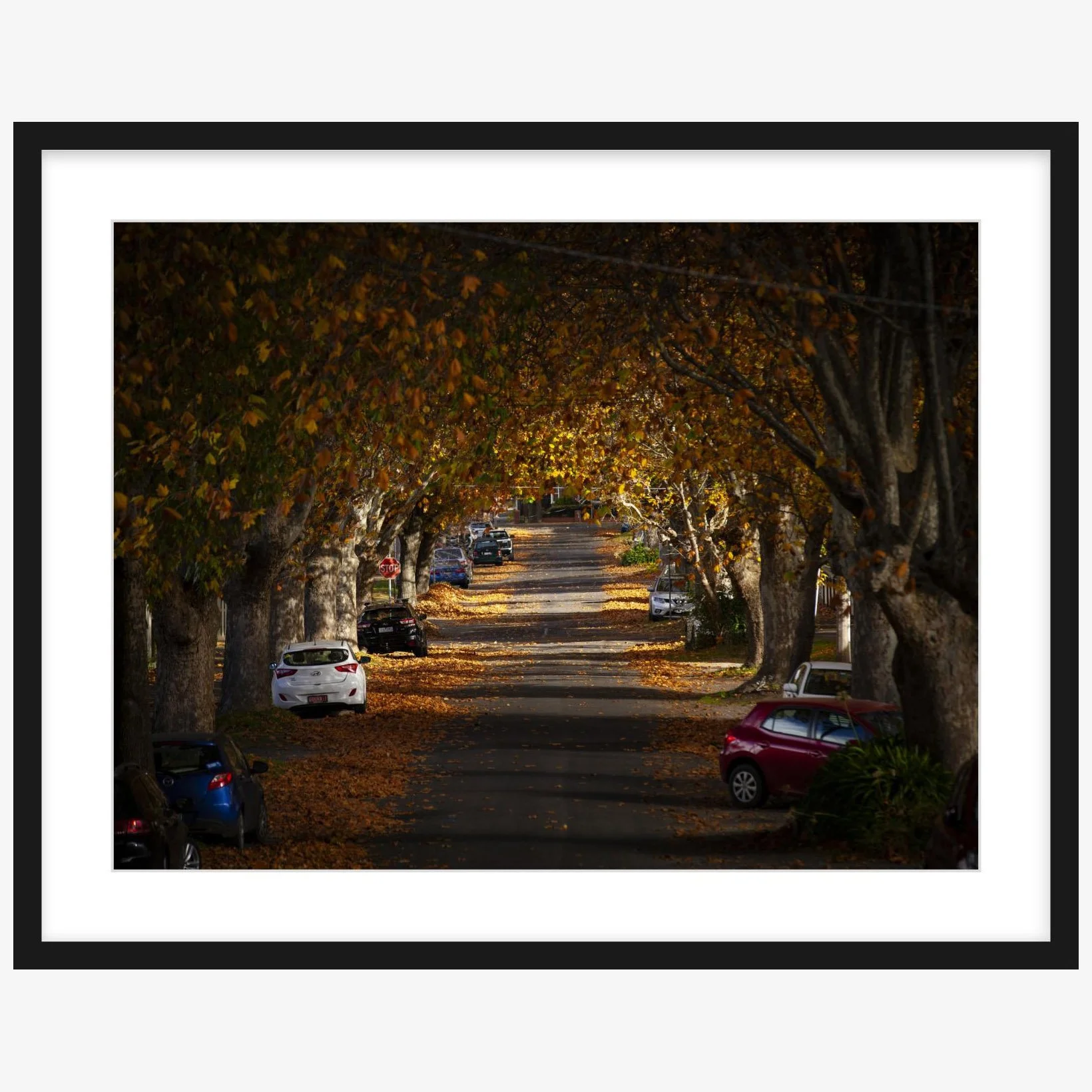Autumn in Frank St - 18" x 24" black - square.jpg