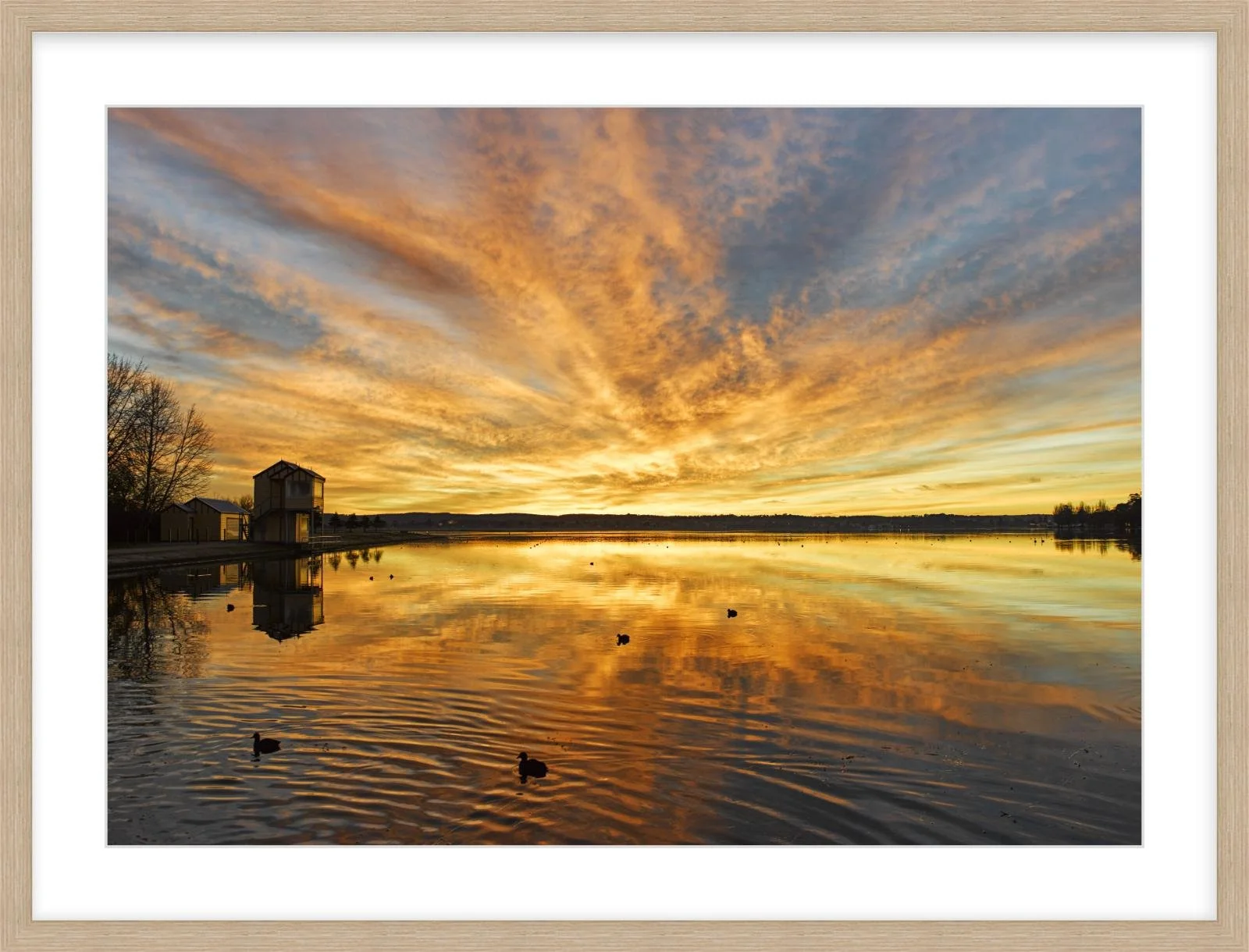 Lake Wendouree sunrise - 500mm x 700mm wood.jpg
