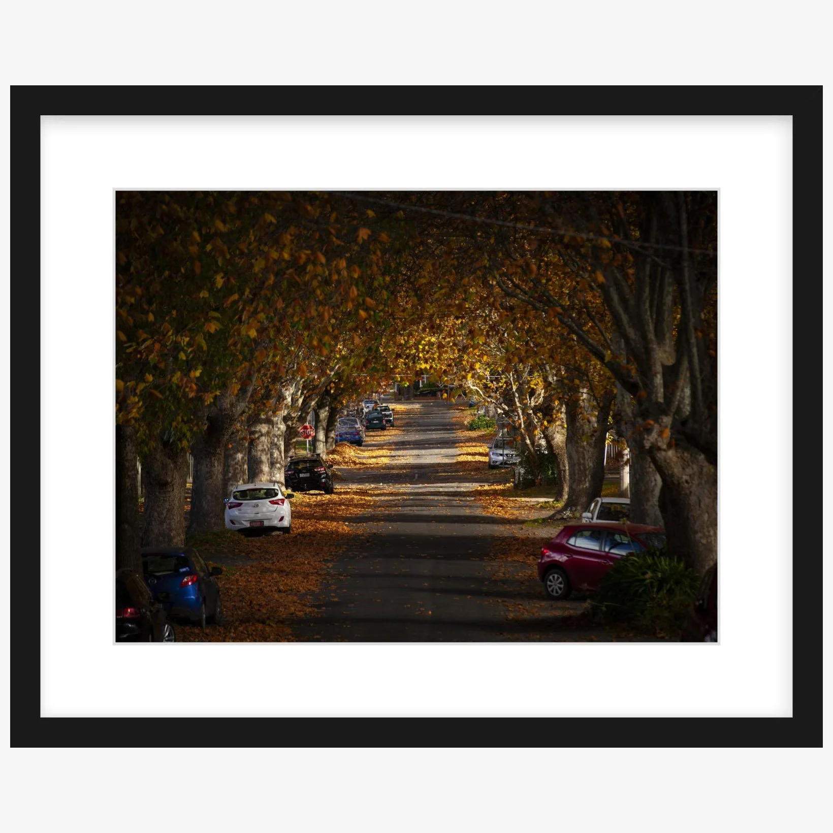 Autumn in Frank St - 12" x 16" Zeppilin slim - square.jpg